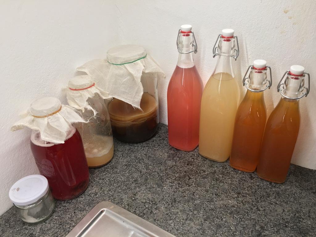 WhatsApp Image 2026-03-18 at 10.08.08 (1).jpeg