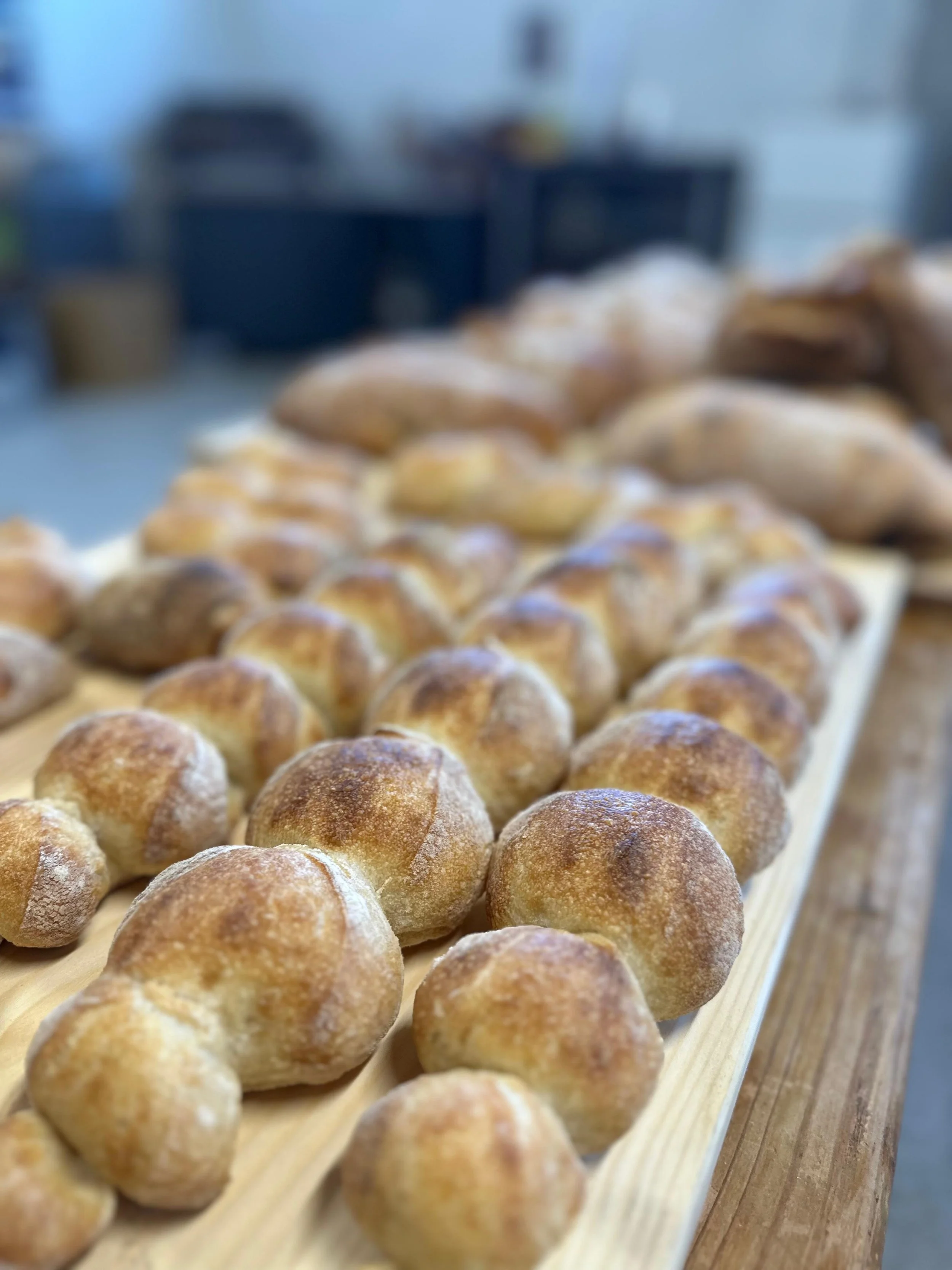 WhatsApp Image 2026-03-18 at 09.38.36 (1).jpeg