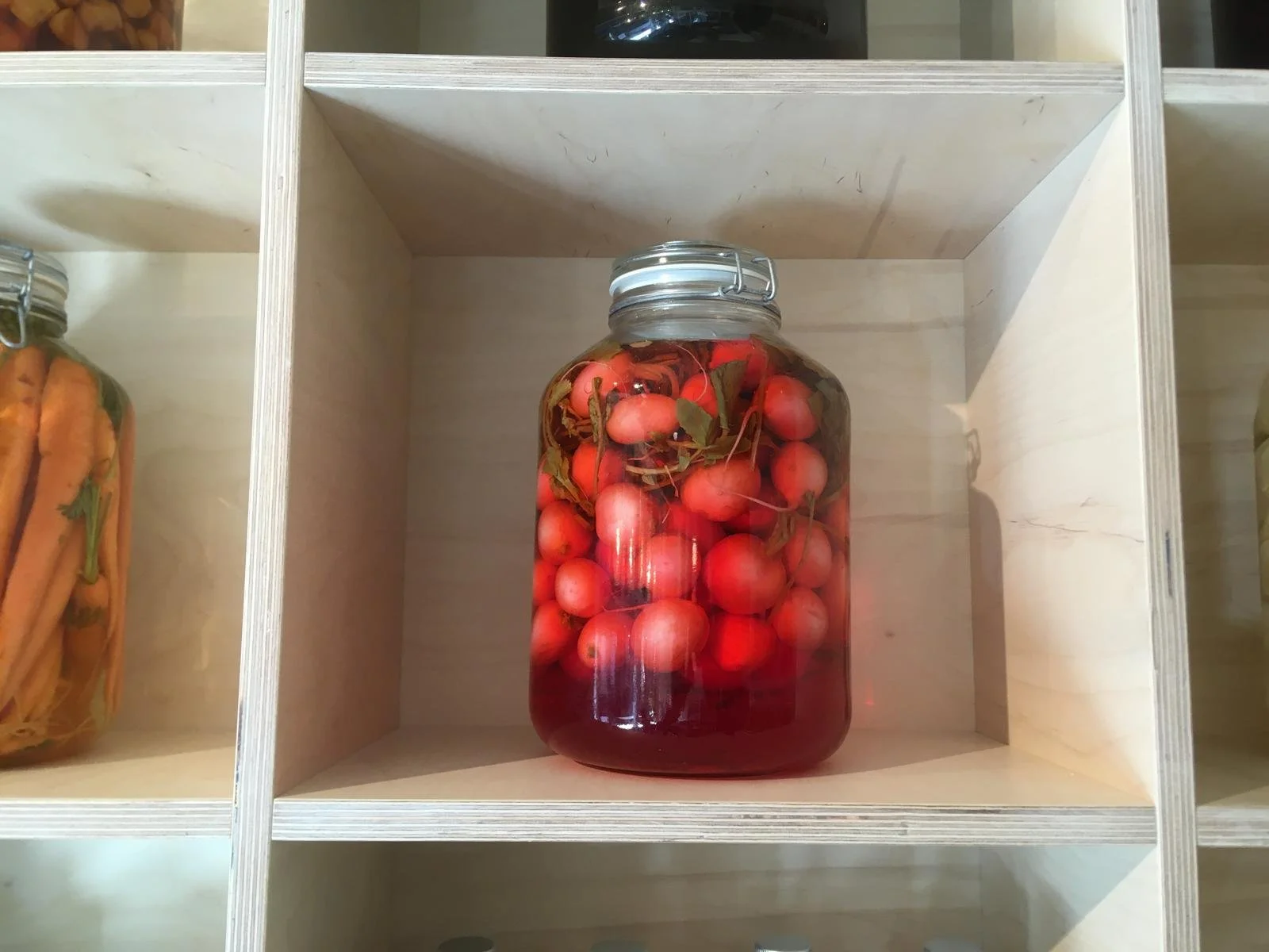 WhatsApp Image 2026-03-18 at 10.08.08 (3).jpeg