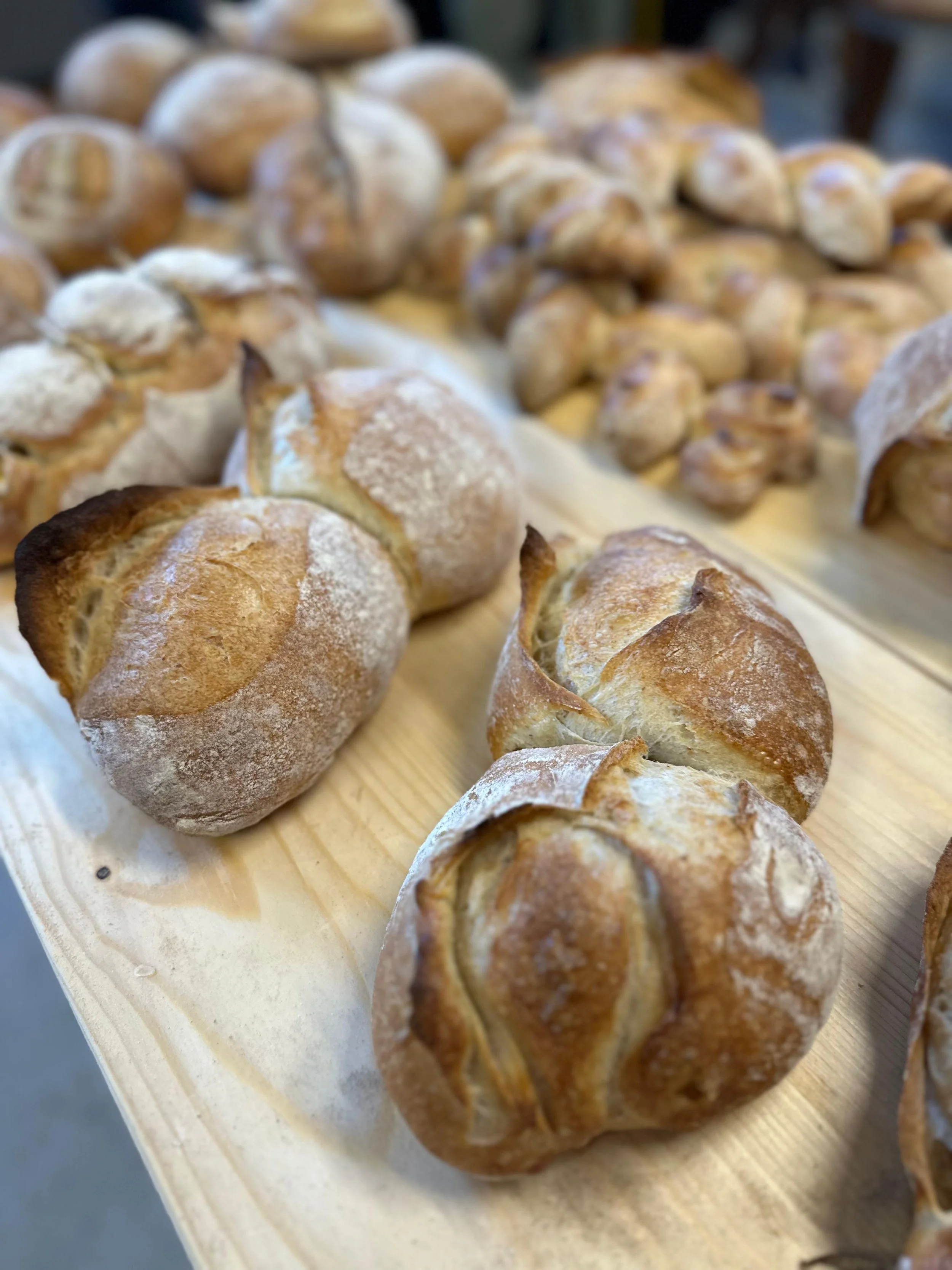 WhatsApp Image 2026-03-18 at 09.38.36 (2).jpeg