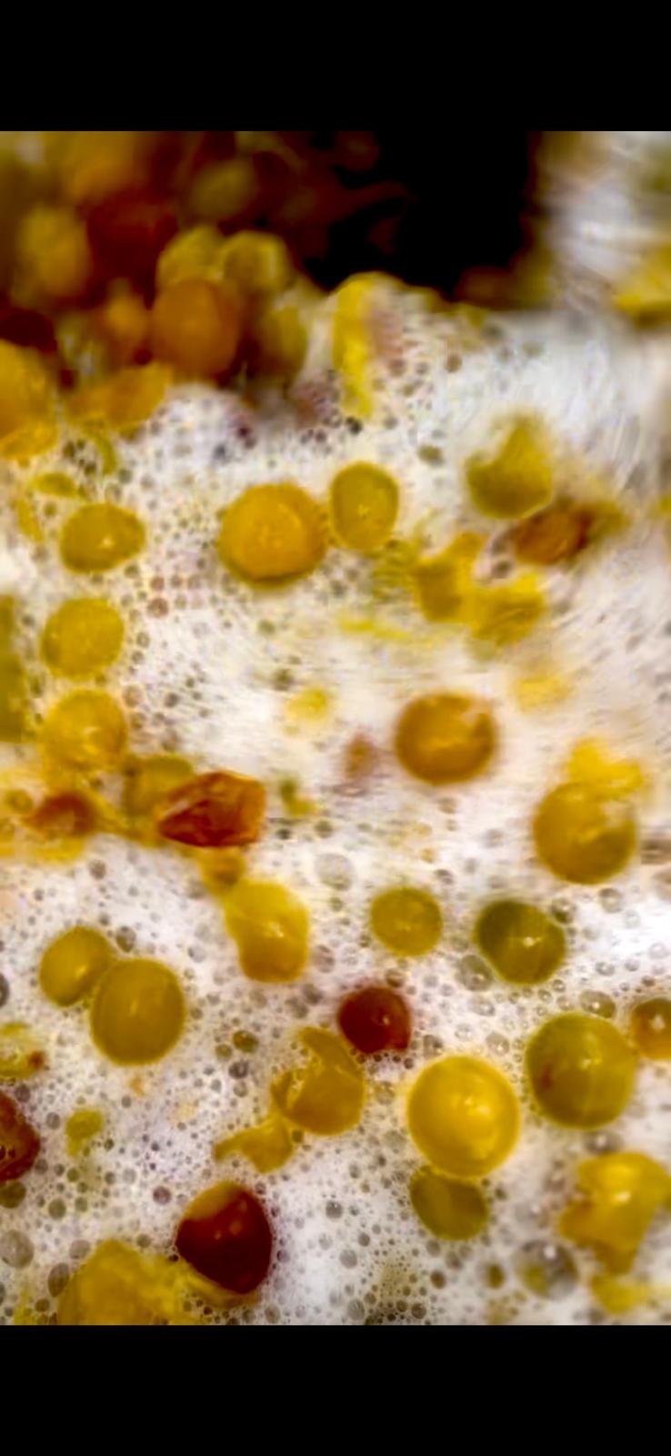 WhatsApp Image 2026-03-18 at 09.56.16 (1).jpeg