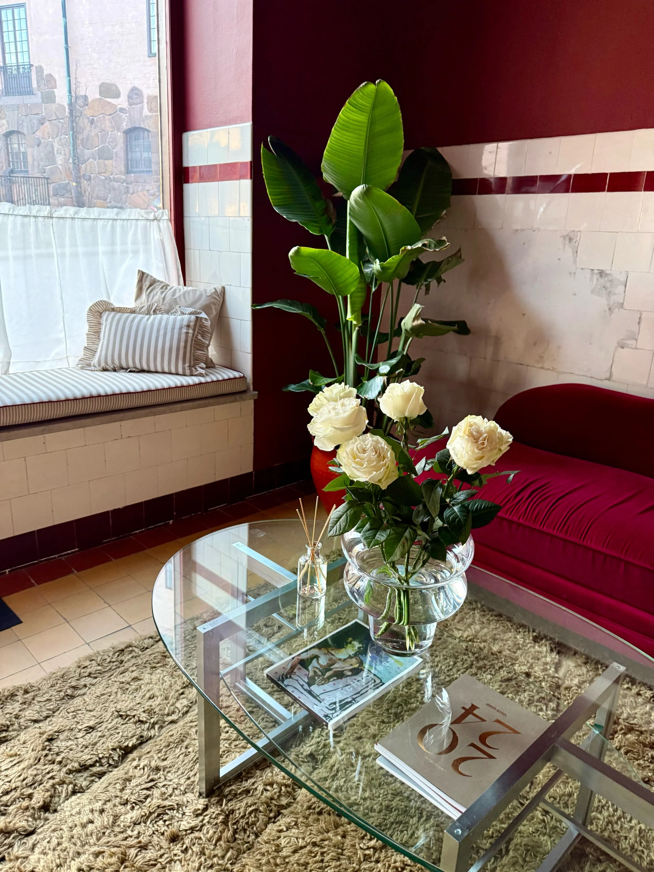 A living room with a glass coffee table holding a vase of white roses and a magazine. There is a red velvet sofa and a window seat with striped pillows. A large green plant is in the corner next to a burgundy wall.