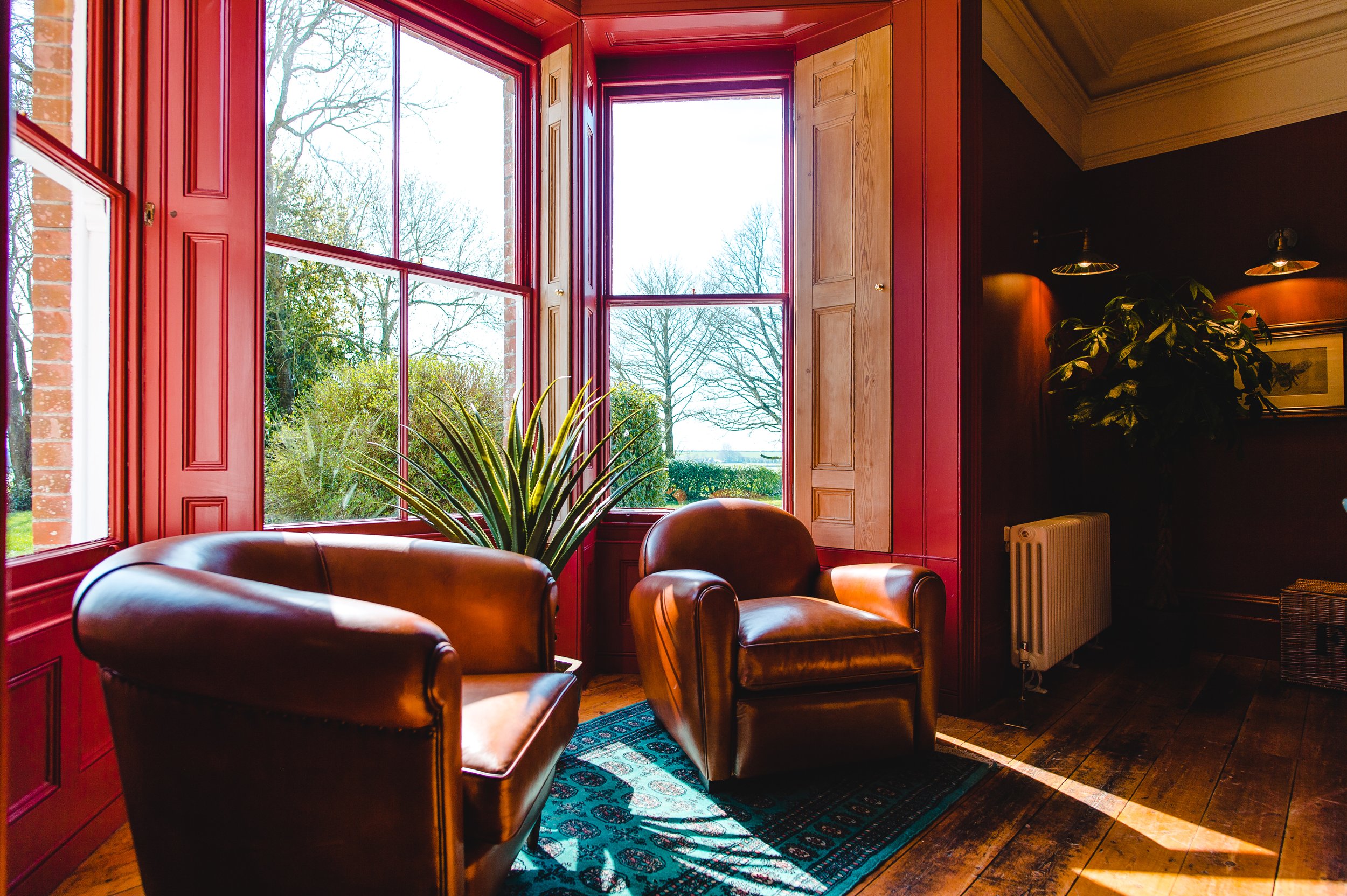 Cozy sunlit room with leather armchairs, red wooden paneling, large windows, a green plant, and wooden floors.