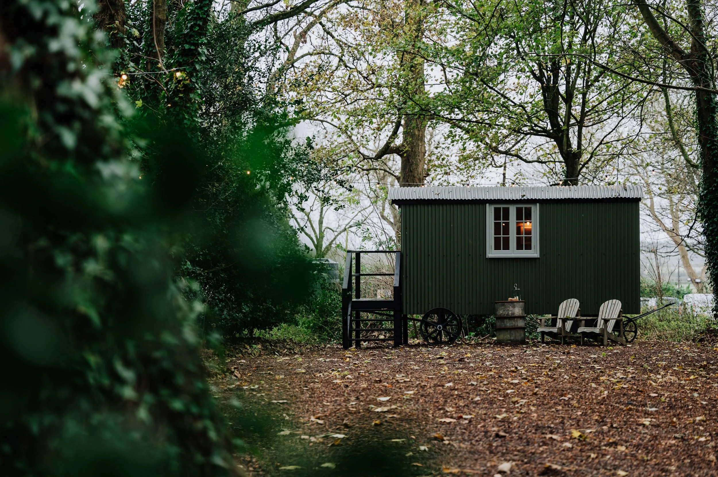 Abbots_Court_2024_-_60.jpg