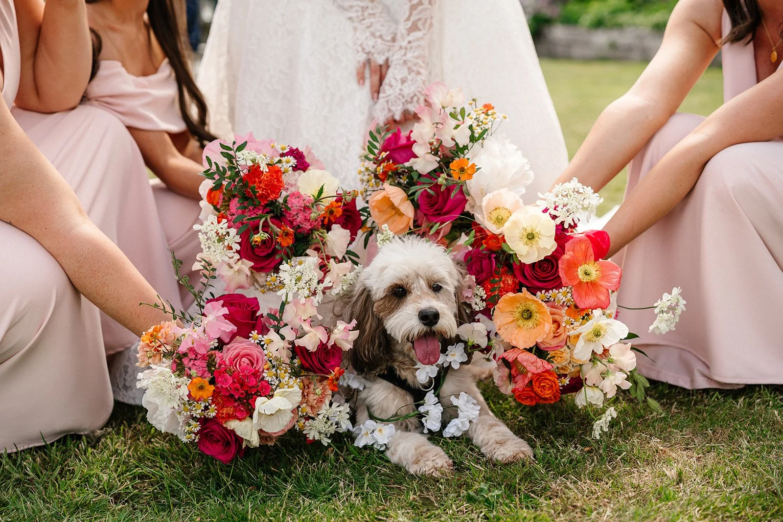 A small dog with its tongue out sits on the grass surrounded by a colorful flower arrangement, with women in pink dresses kneeling nearby at what appears to be a wedding ceremony.