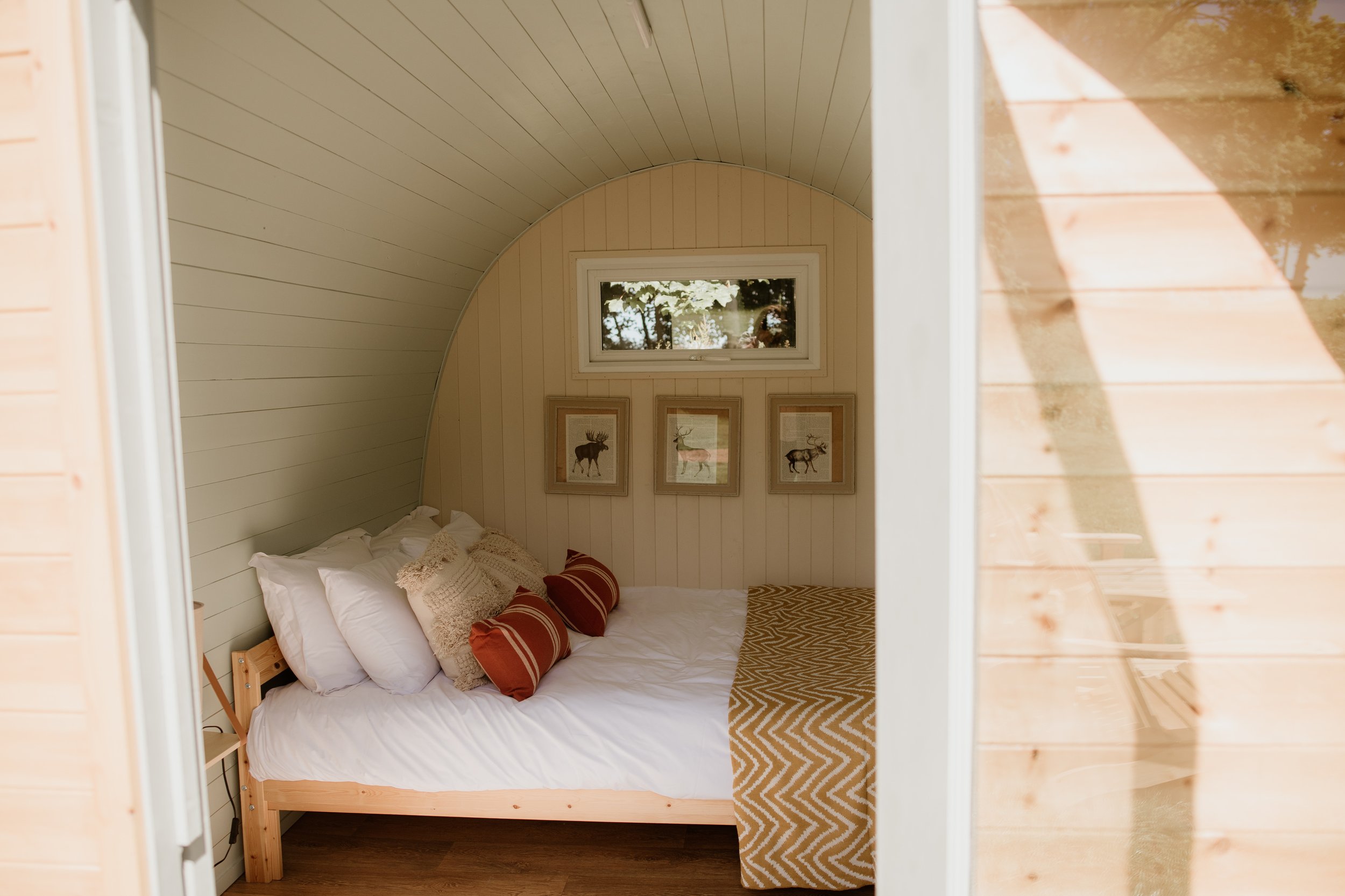 Cozy cabin interior with a bed, decorative pillows, framed animal prints, small window, and wooden wall paneling.