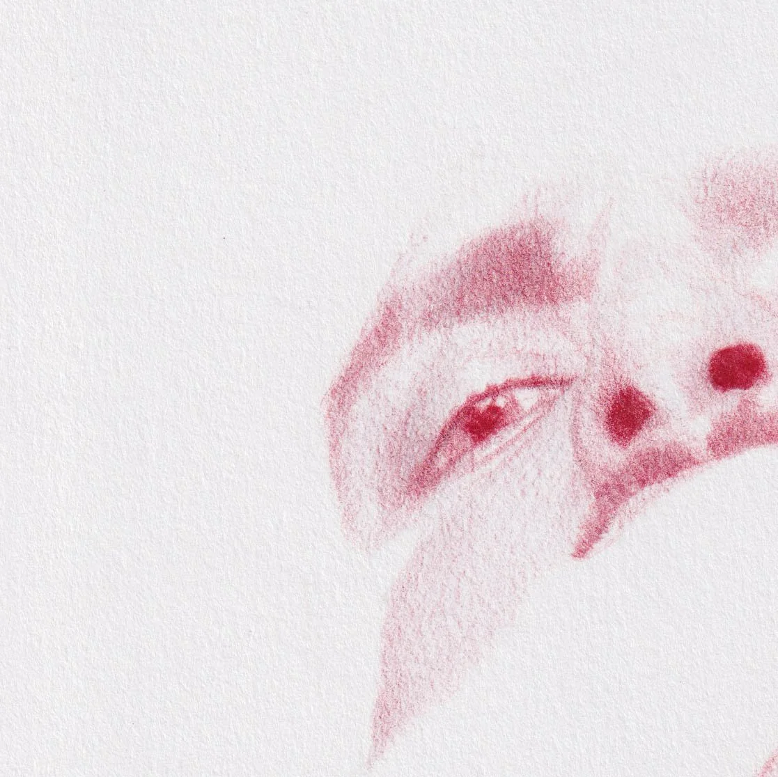 détail visage regard et nez dessin rouge apparition expression intérieure