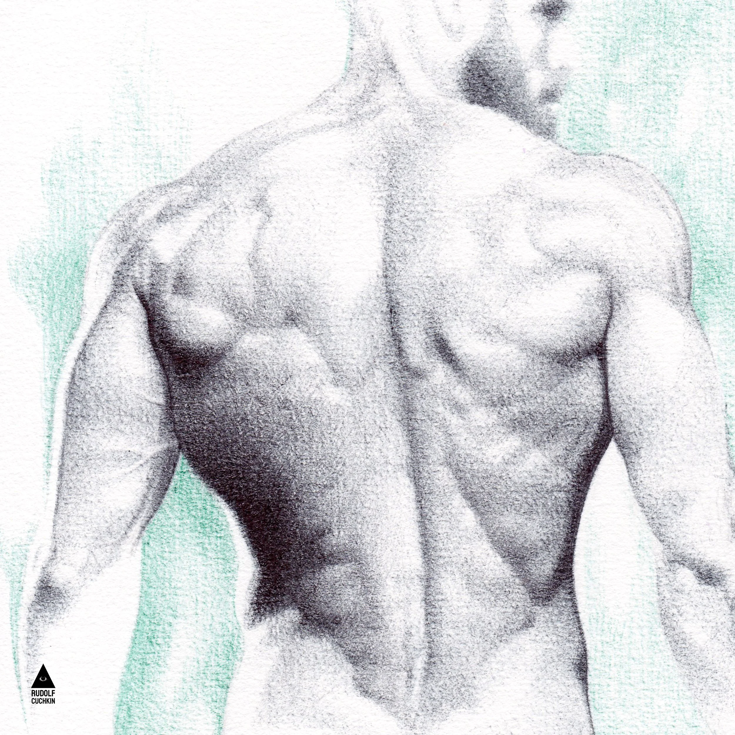 Détail d'un dessin au stylo montrant les omoplates, la colonne vertébrale et les volumes musculaires d'un dos masculin traité par un travail subtil du trait et des valeurs.
