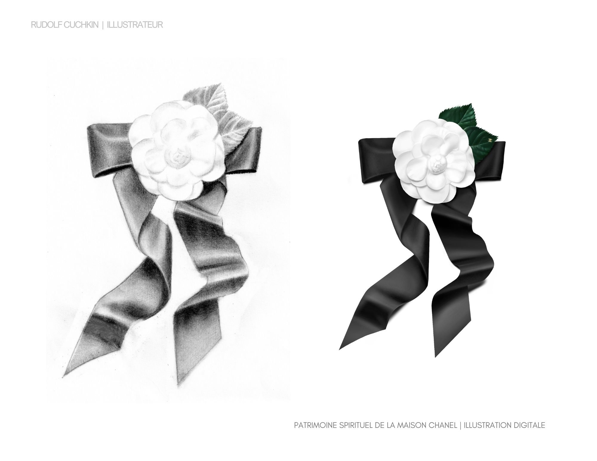 Le noeud CHANEL | Illustration digitale