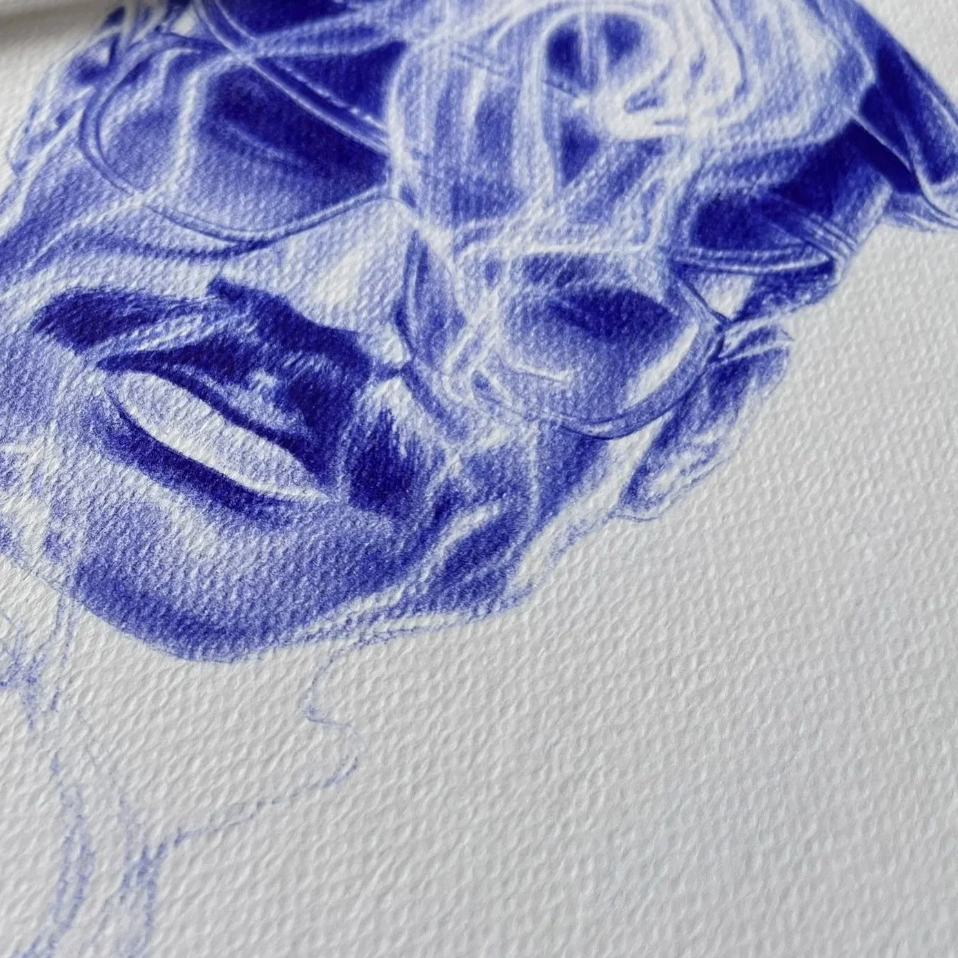 Détail d'un dessin original au stylo en monochrome bleu sur  du papier texturé.
