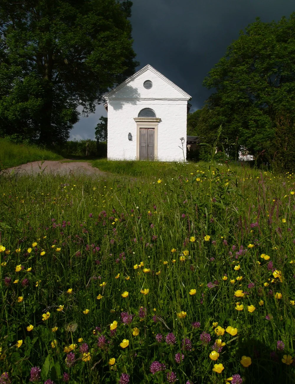 Wildflower meadow within the memorial gardens of a historic Welsh house