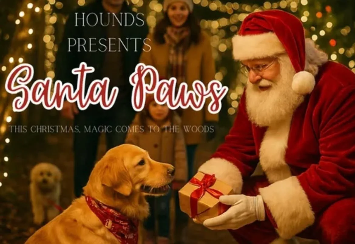 Hounds Daycare Santa Paws Event Pop Up Shop