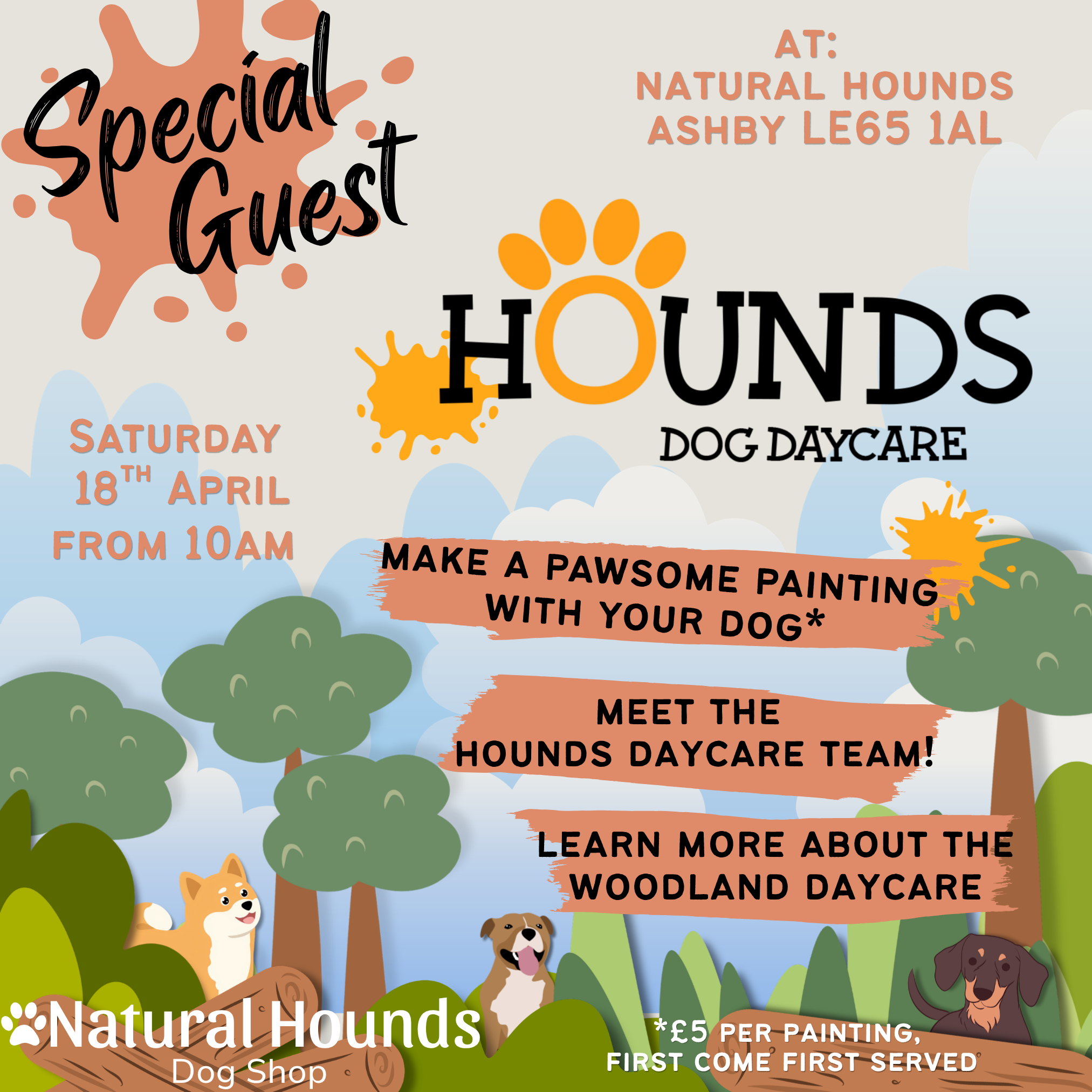 Hounds Daycare Meet and Greet