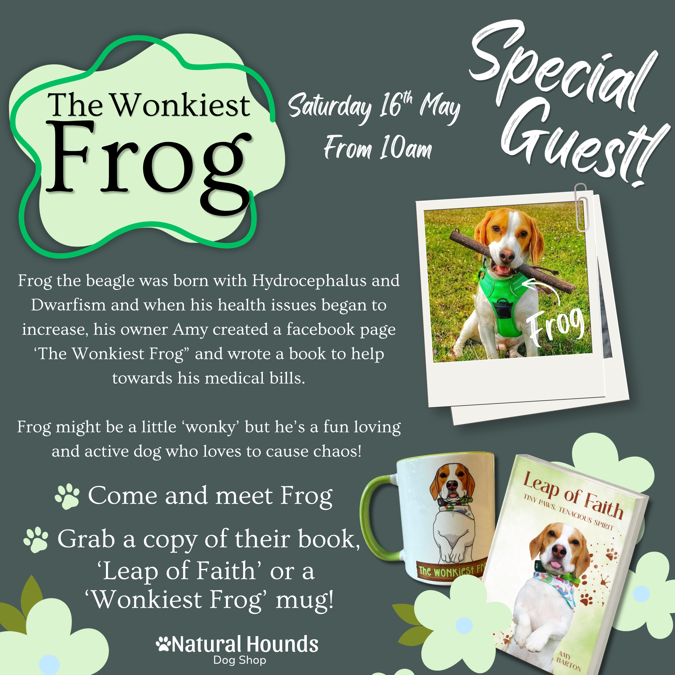 The Wonkiest Frog Meet and Greet