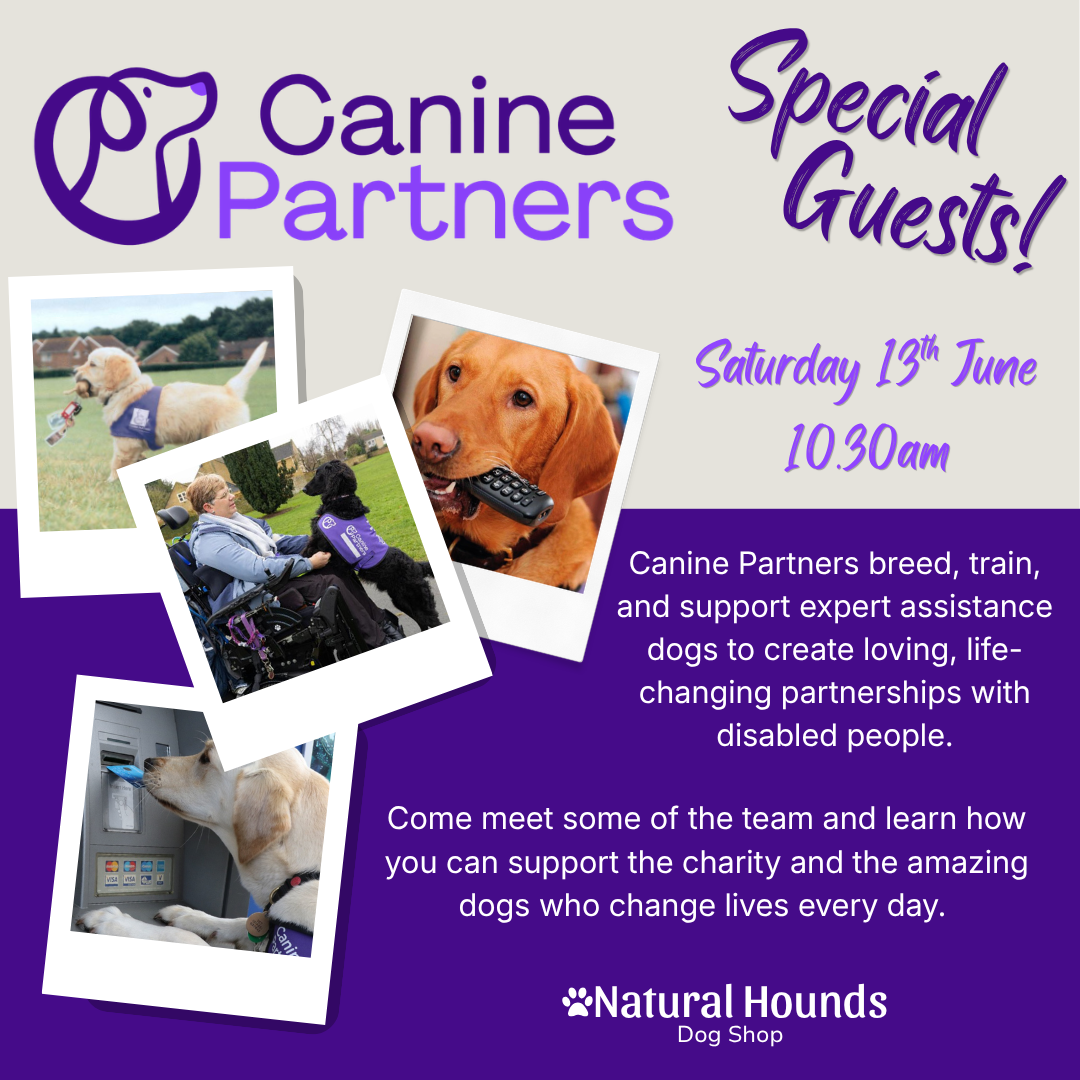Canine Partners Special Guest Spot