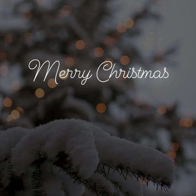 🎄

Wishing you a Merry Christmas filled with joy, love, and warmth!

Wir w&uuml;nschen euch ein frohes Weihnachtsfest voller Freude, Liebe und W&auml;rme!

#christmas #christmastree #christmastime #switzerland #swiss #zurich #textile #textiles #desi