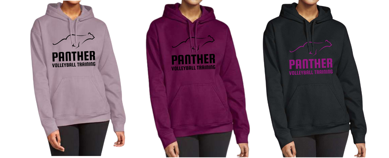 Panther Unisex Softstyle Hoodie