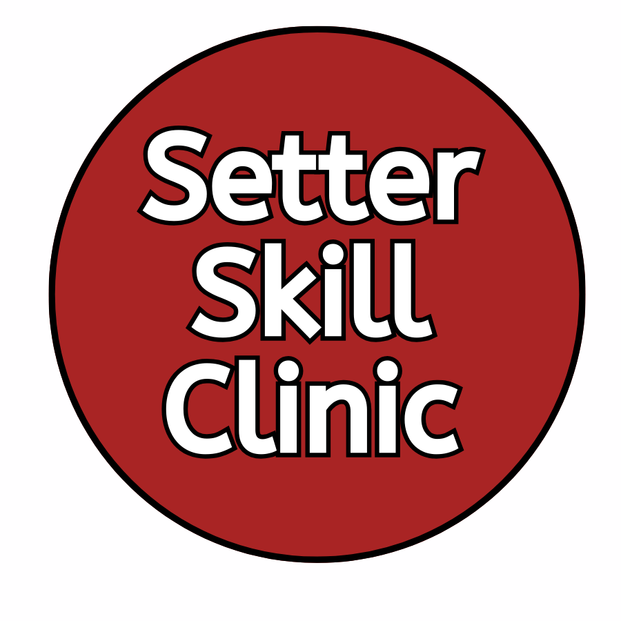 March 1, 2026 - Setter Skill Clinic