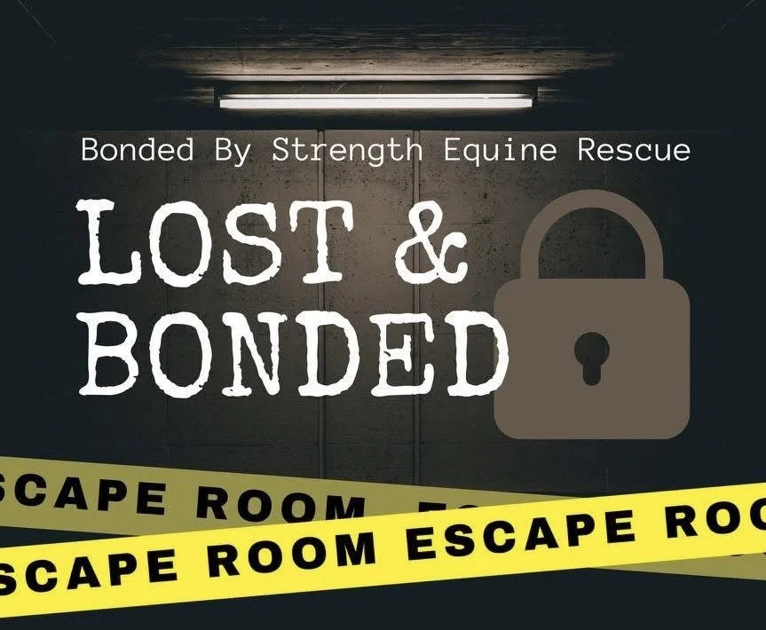 Escape Room