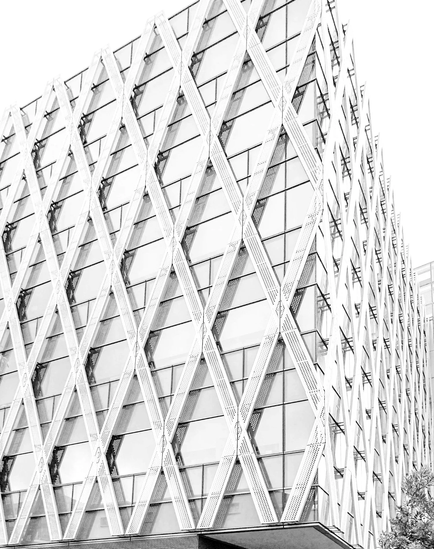 White diagonal-grid façade on a modern office building, in black and white