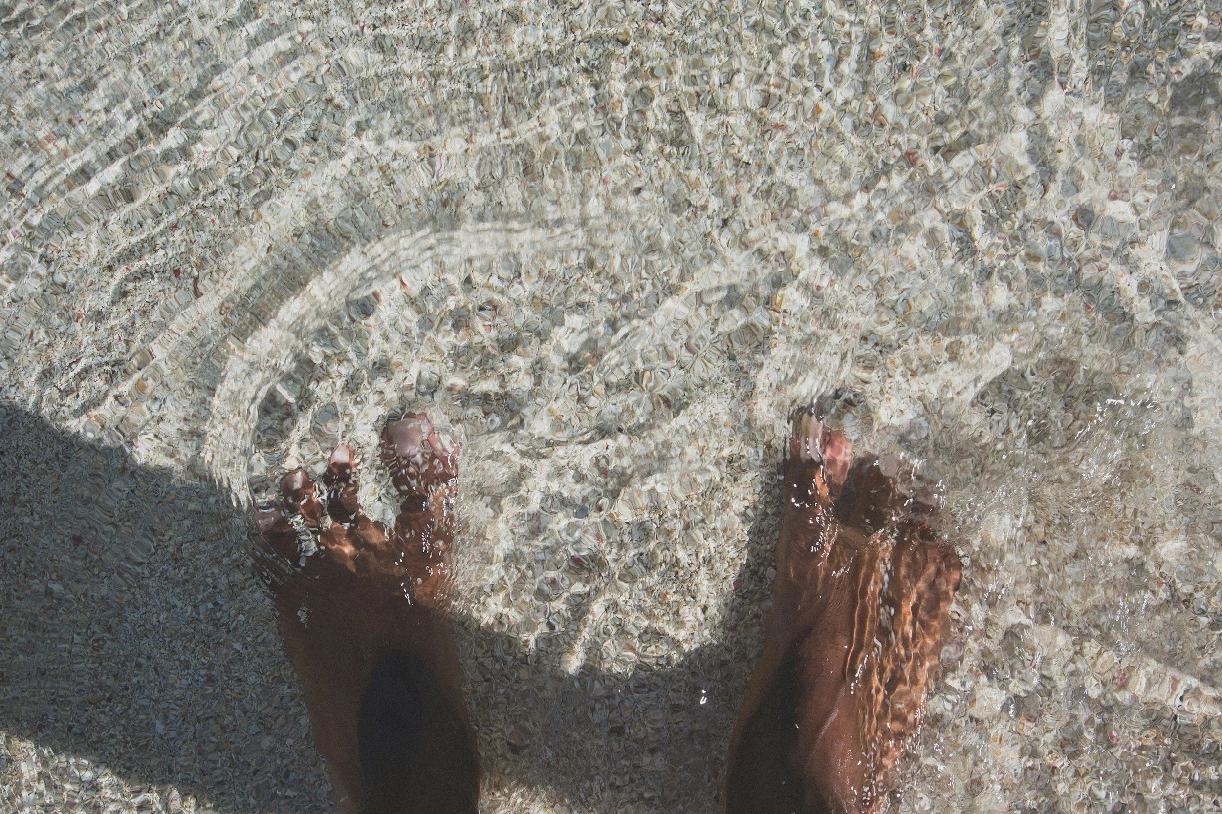 Person standing in clear shallow water on a sandy beach holding a large seashell.