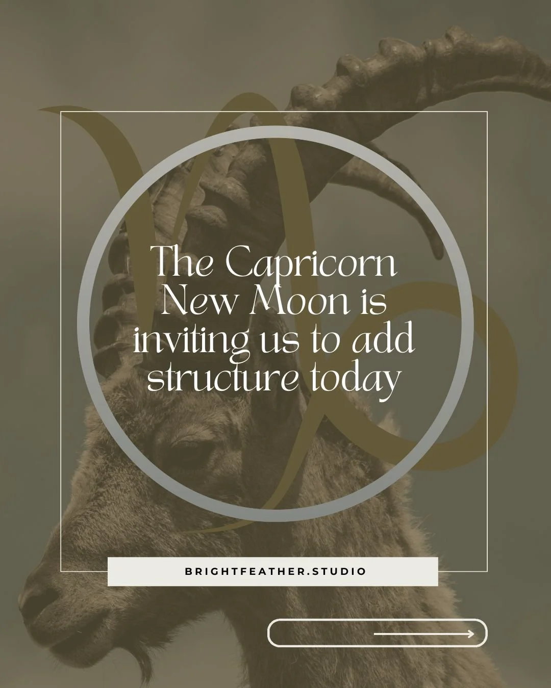 The Capricorn New Moon is inviting us to add foundations and structure today.

It supports quiet commitment.
Not doing more - but doing one thing with care.
Staying rooted while something steady begins to take shape.

There&rsquo;s also a quiet finan