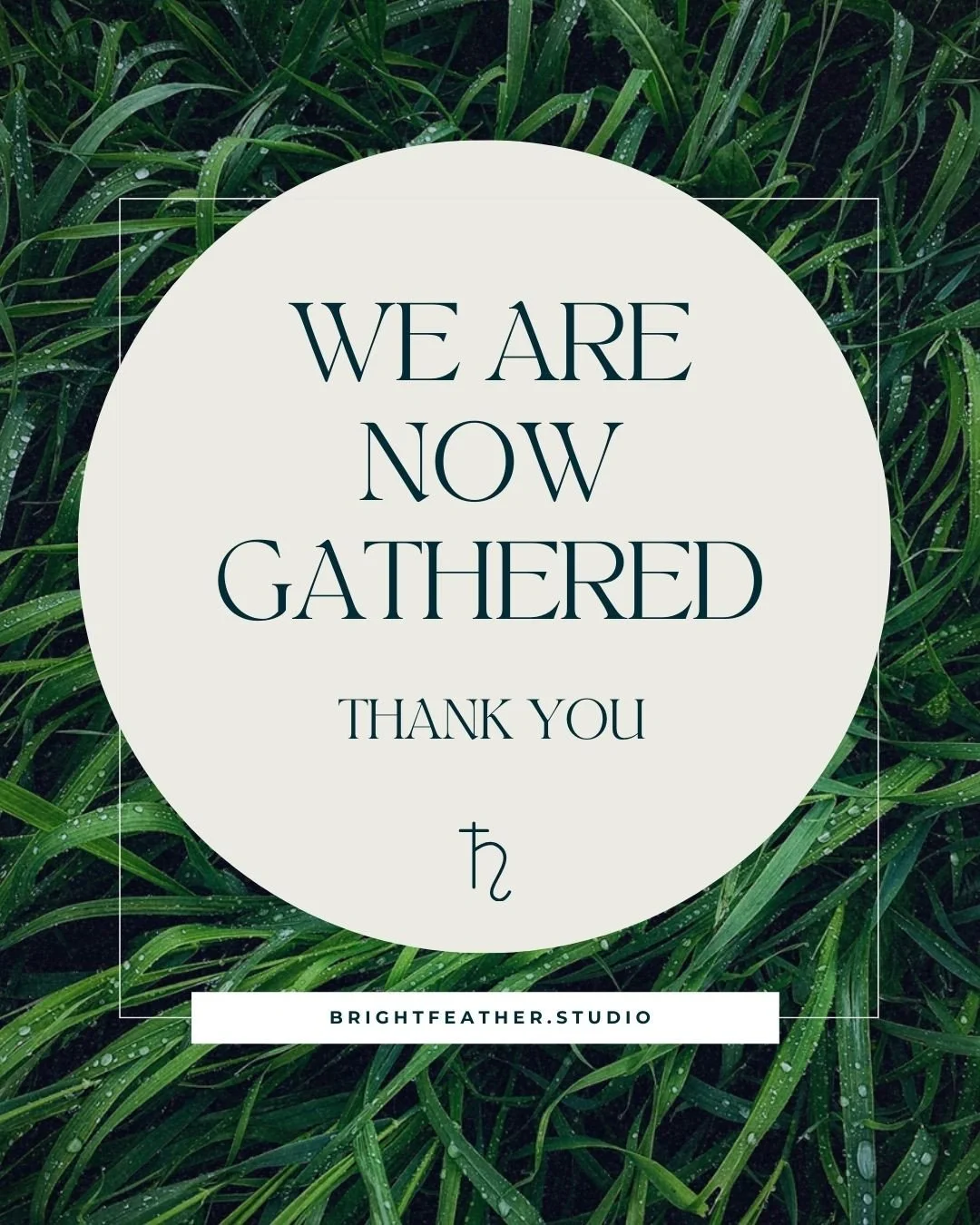 We are now GATHERED. Thank you for all of the trust you are putting in me. This is going to be such a ride xx⁠
⁠
I will be taking on new one to one projects from April 2026.⁠
Already excited to share our websites on the Pink Moon xx