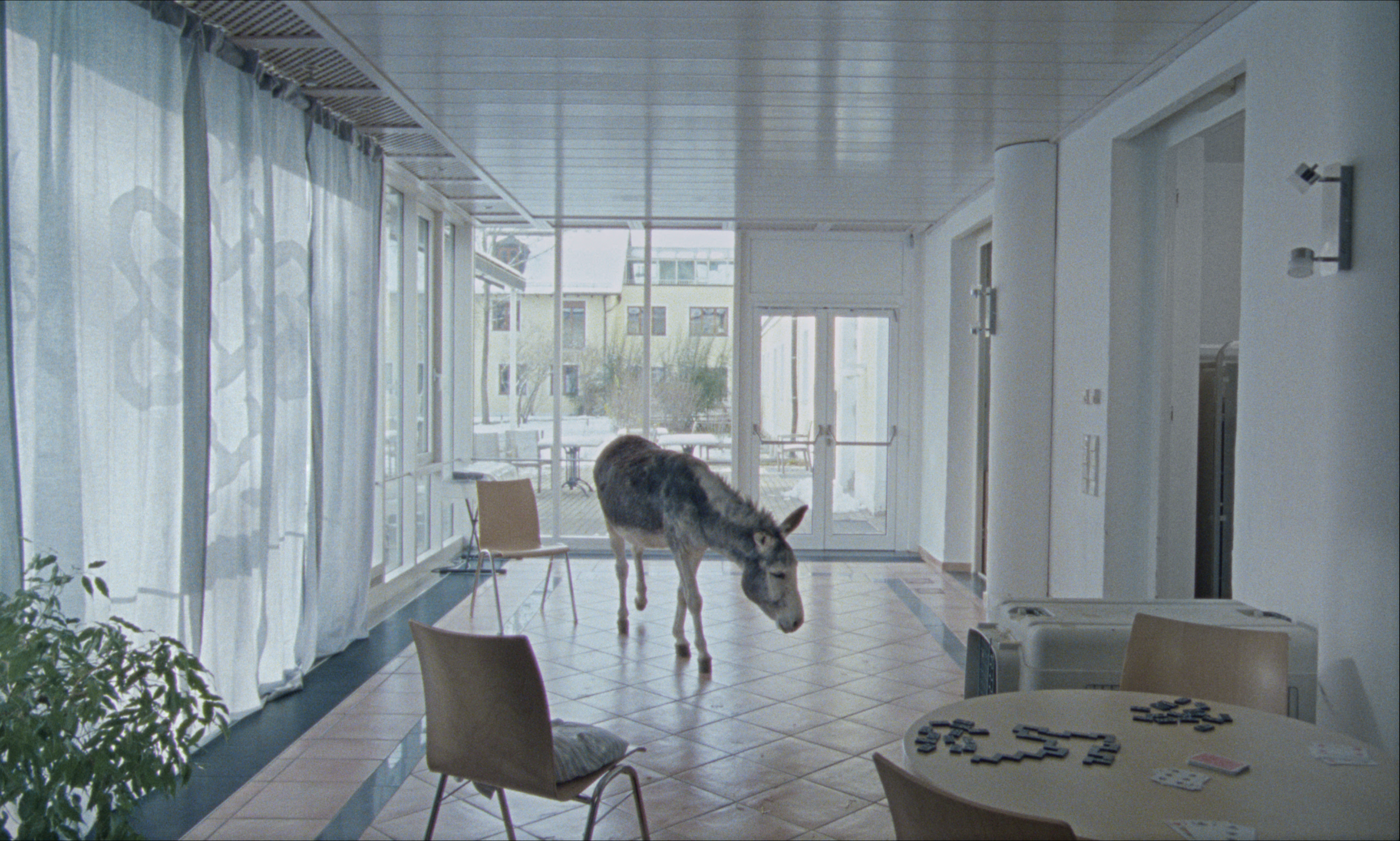 AE_STILL_00021.png