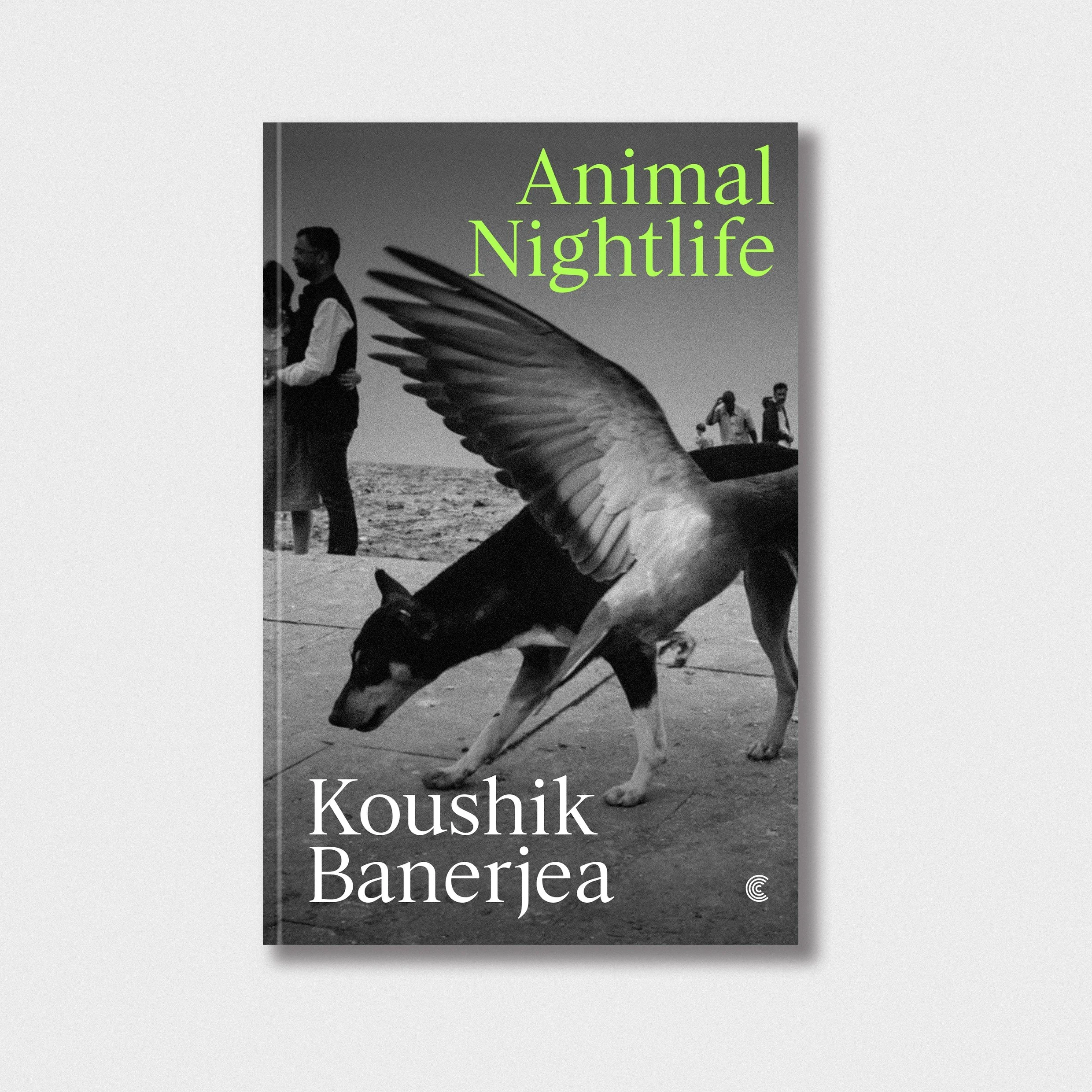 Animal Nightlife: London Book Launch