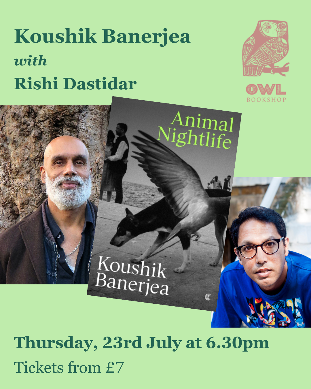 Animal Nightlife: Owl Bookshop, London
