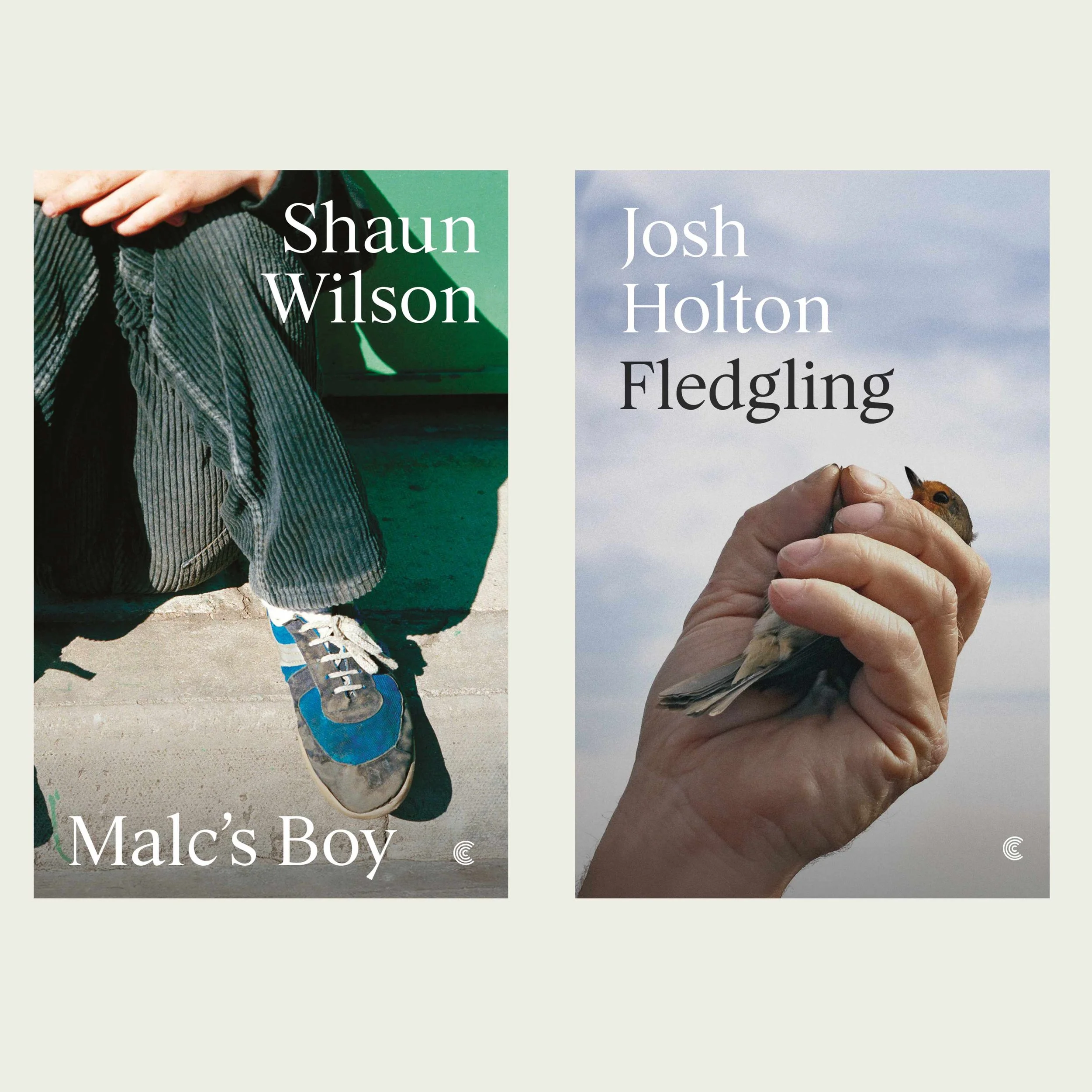 Malc's Boy and Fledgling: Bookends Carlisle