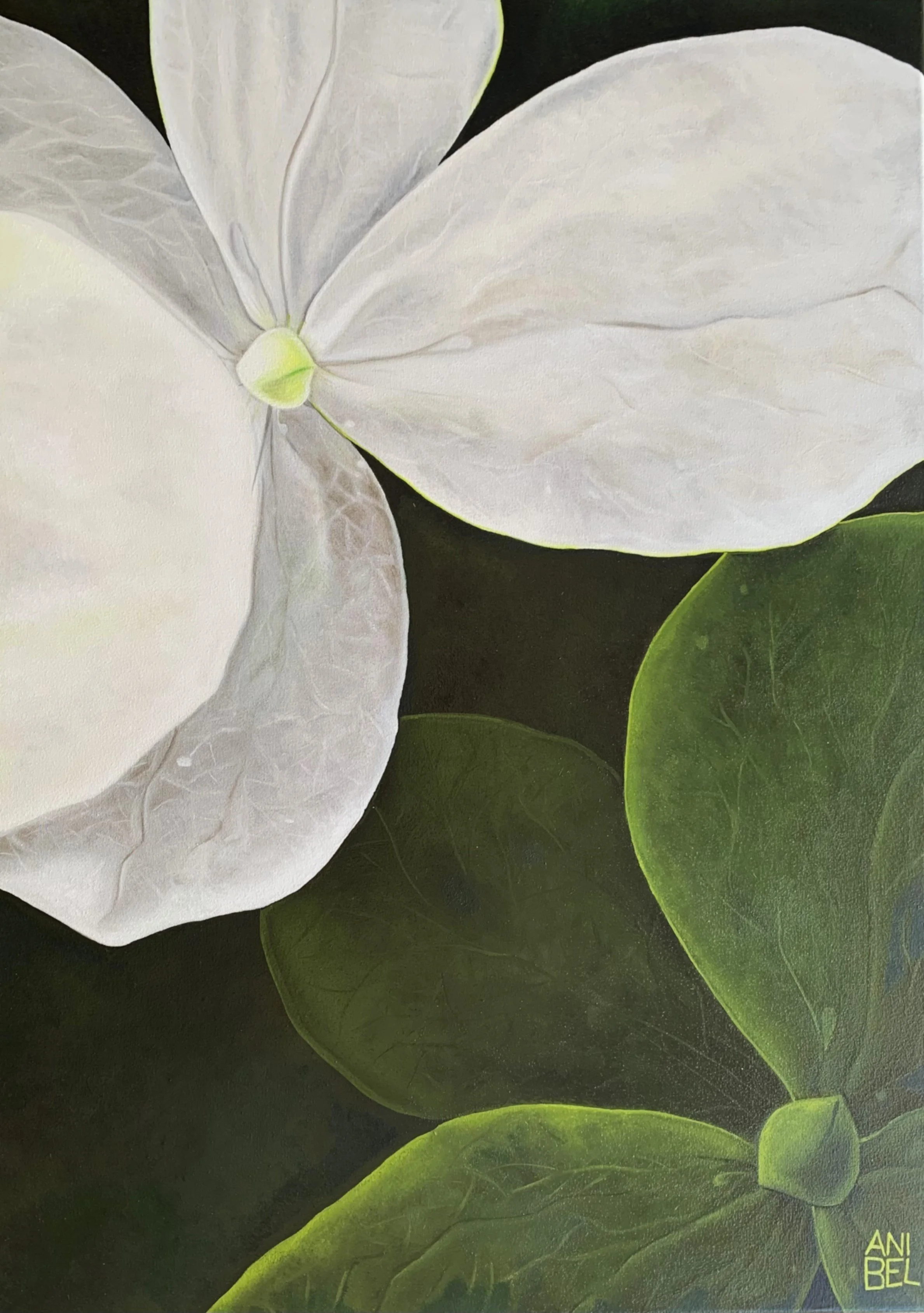 IMITATION Huile sur toile50X70cm 2025