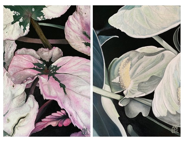 PINK SHADOWS GREEN SHADOWS
Huile sur toile 60X40cm 2025
