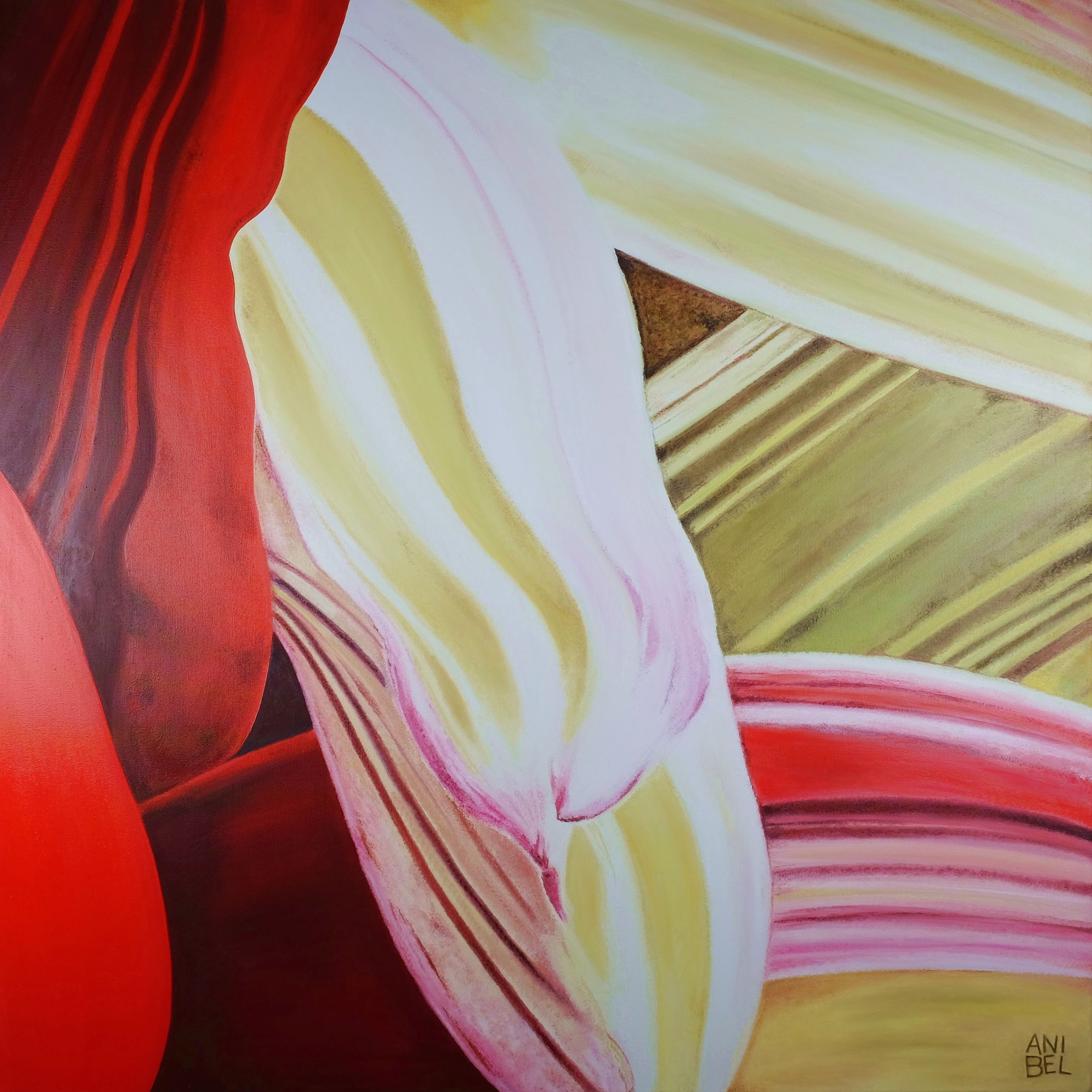 OPERA Huile sur toile 90x90cm 2023
