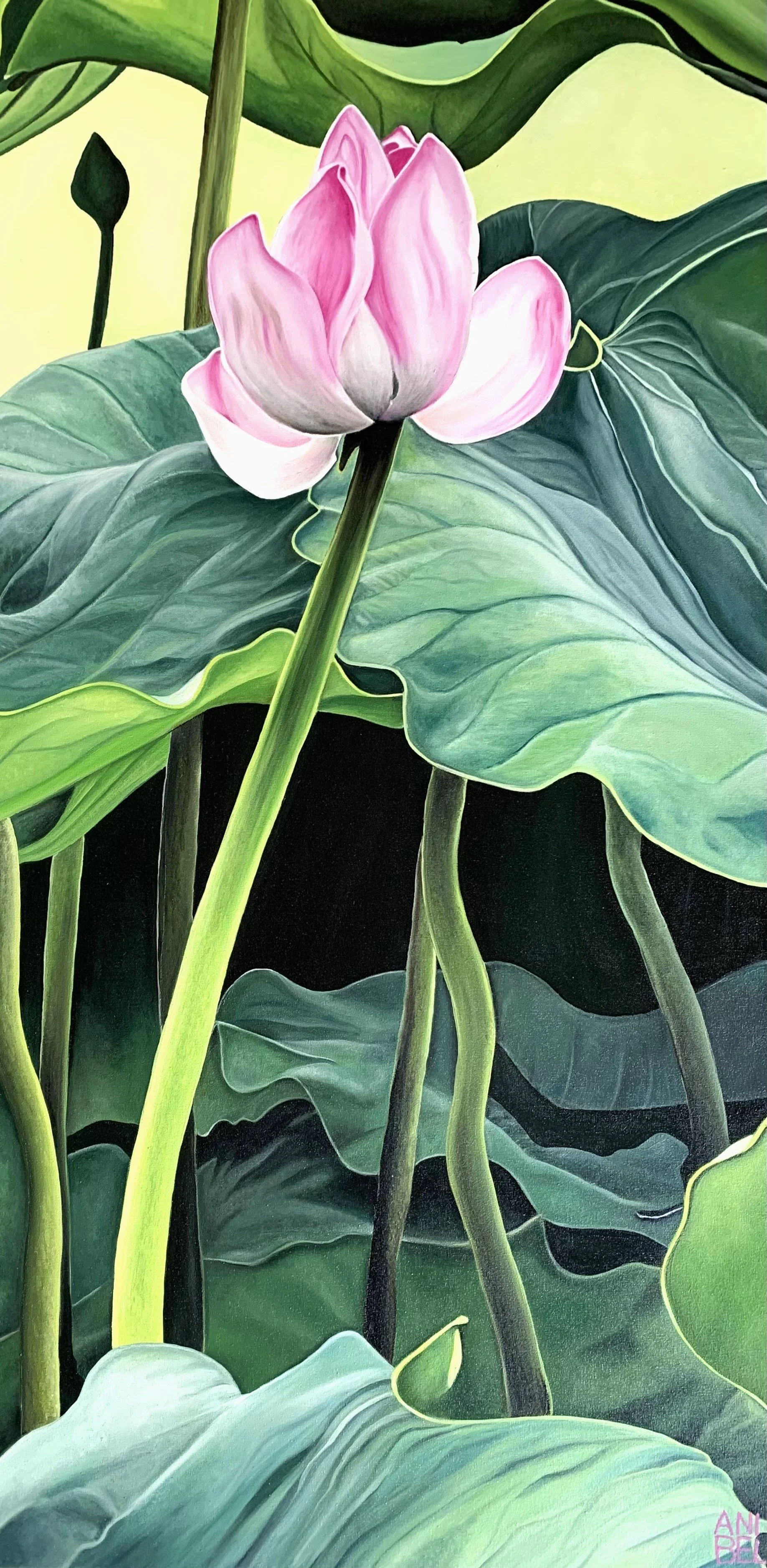 LOTUS Huile sur toile 50X100cm 2025