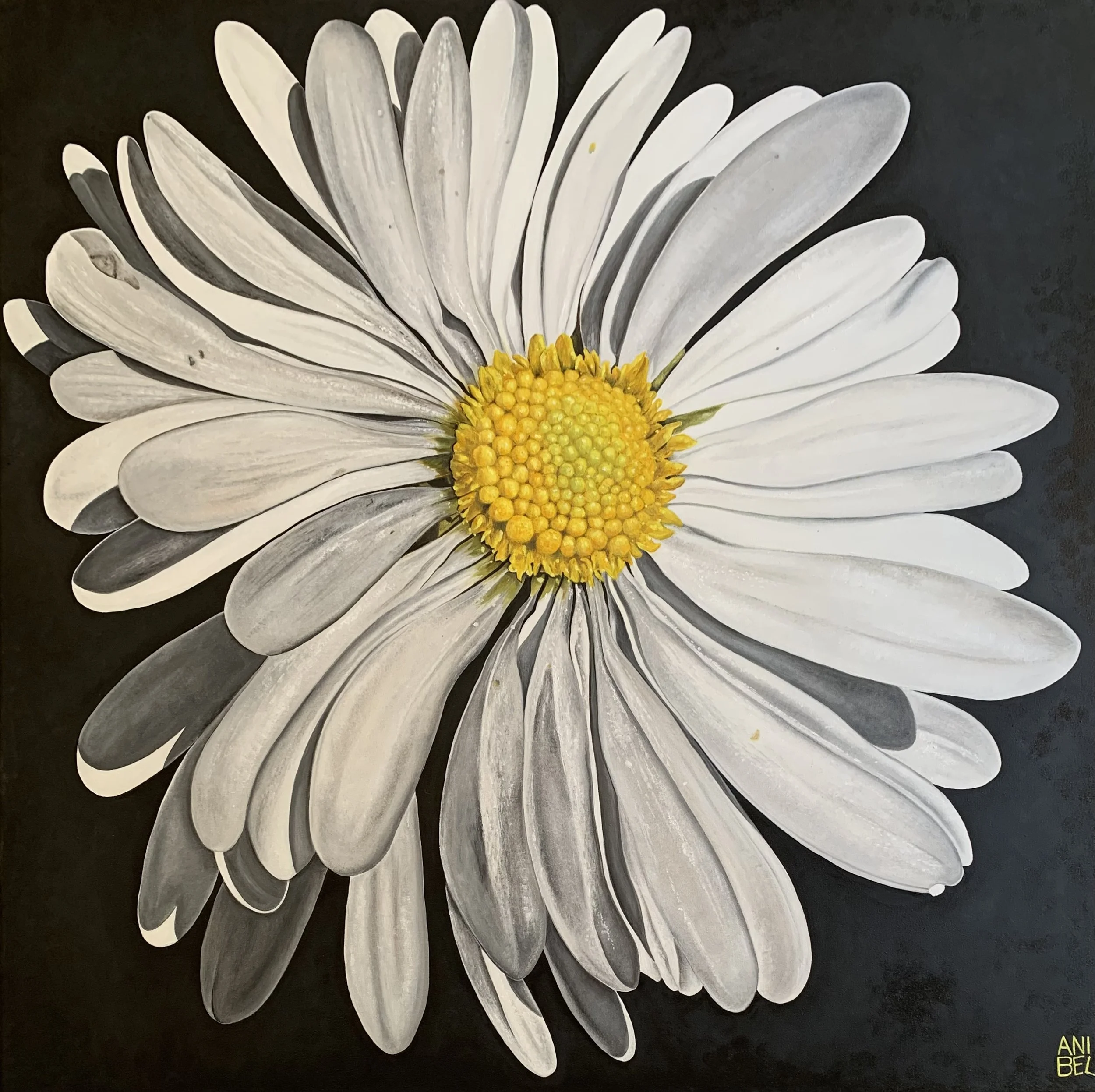 INNOCENCE Huile sur toile 100X100 cm 2026