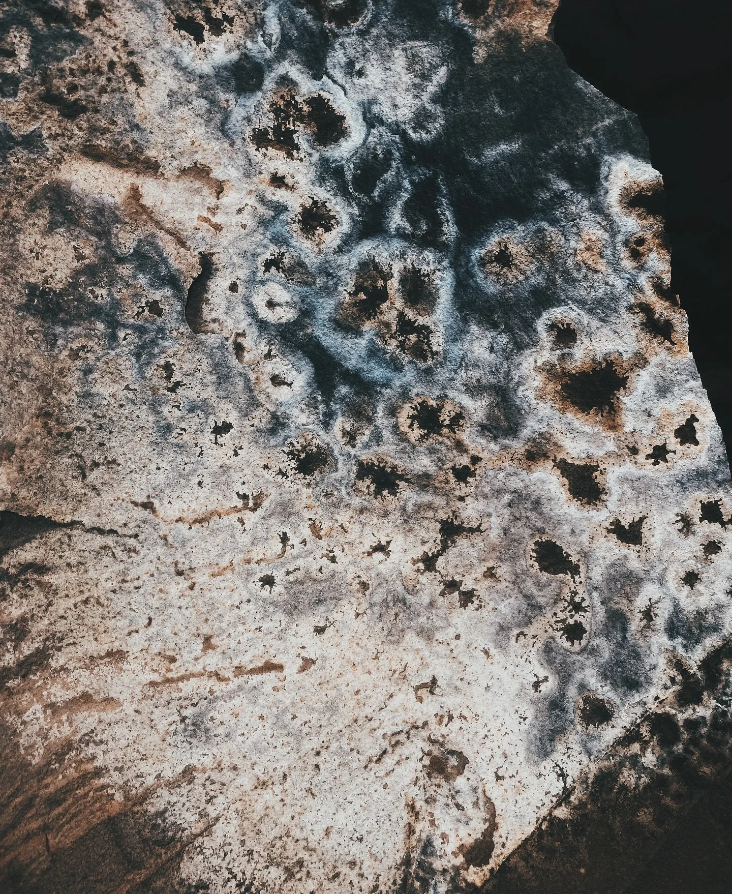 〰️ &lsquo;Your work is to discover your world and then with all your heart give yourself to it&rsquo; &mdash; Buddha

📷: iPhone 

::Escalante::

#buddhism #photographer #earthphotography #texture #earth #escalante #utah #coloradophotographer #tezza 