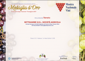 
62º CONCORSO NAZIONALE DEI VINI D.O.C.G. D.O.C. I.G.T. PRAMAGGIORE - EDIZIONE 2023  