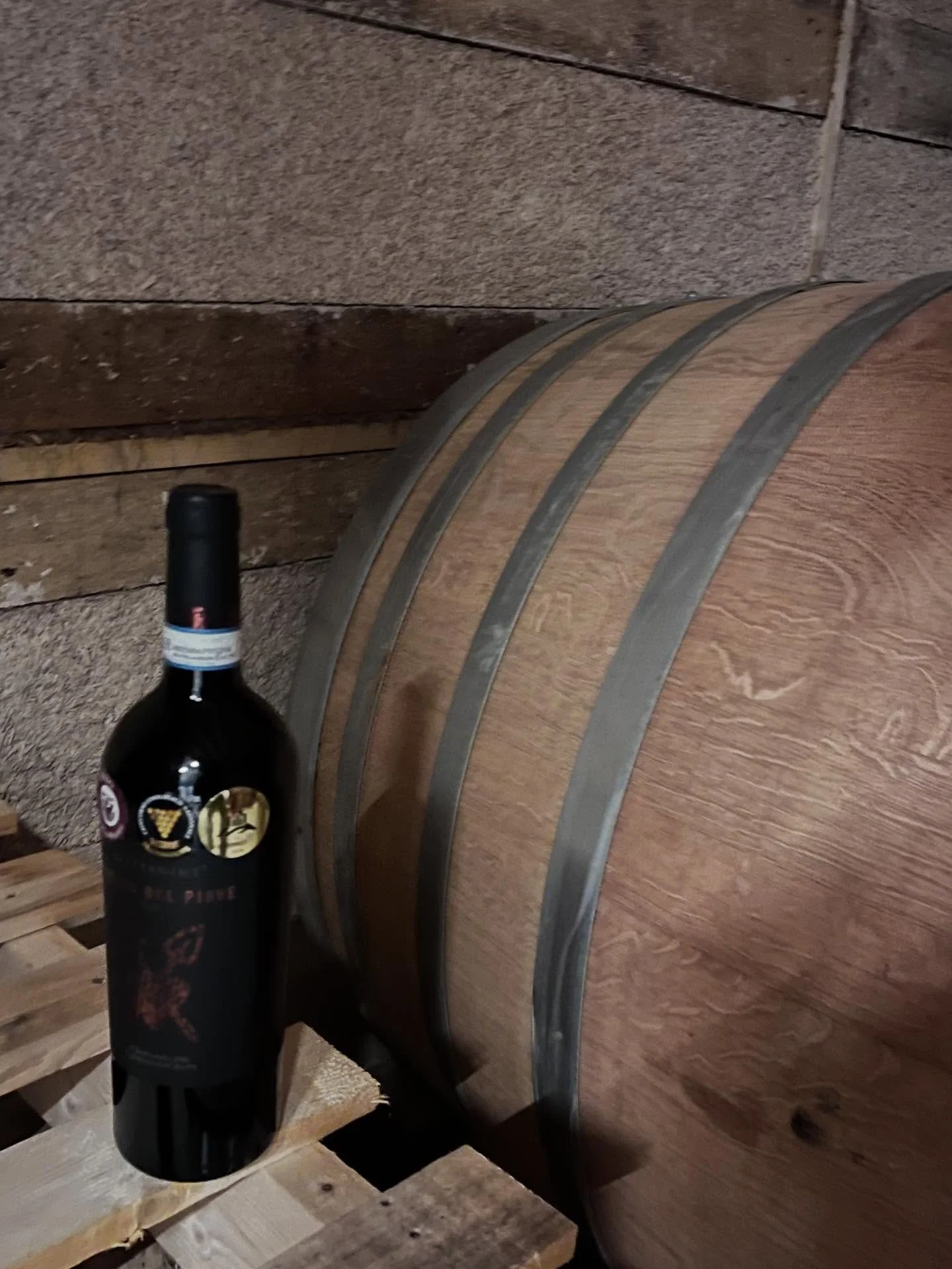 Il gioiello sulla corona del Re: il Raboso D.O.C. Piave &egrave; il rosso pi&ugrave; intenso, il canto grave e profondo nel coro dei nostri vini. La lavorazione secondo metodo tradizionale e il successivo invecchiamento lungo 24 mesi, di cui 12 mesi 