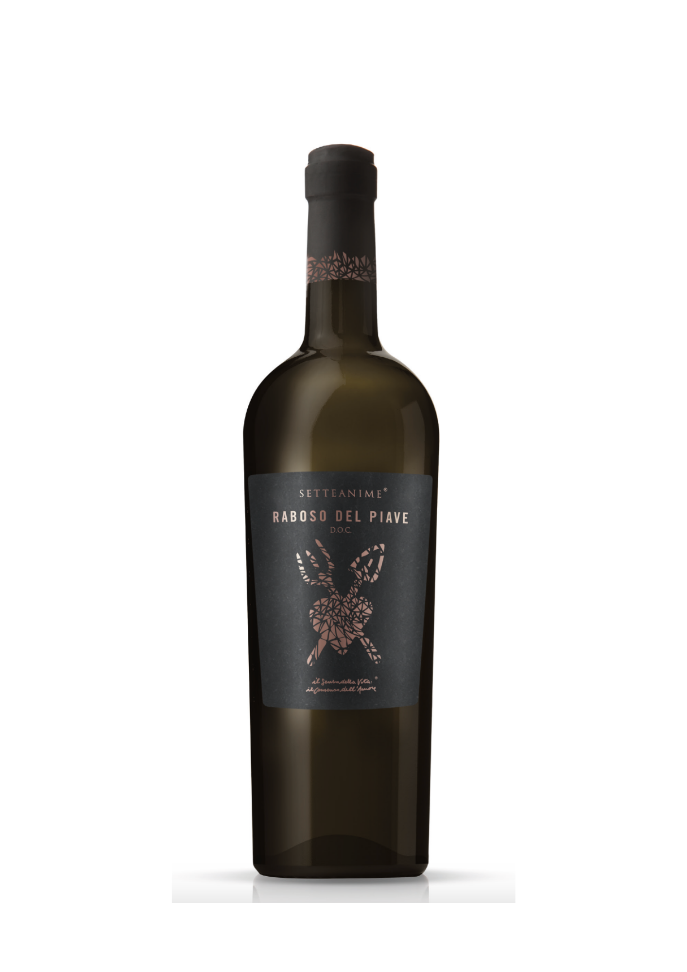 50°MOSTRA VINI TRIVENETI DIPLOMA DI GRAN MERITO RABOSO DOC PIAVE 2017 LIMITED EDITION