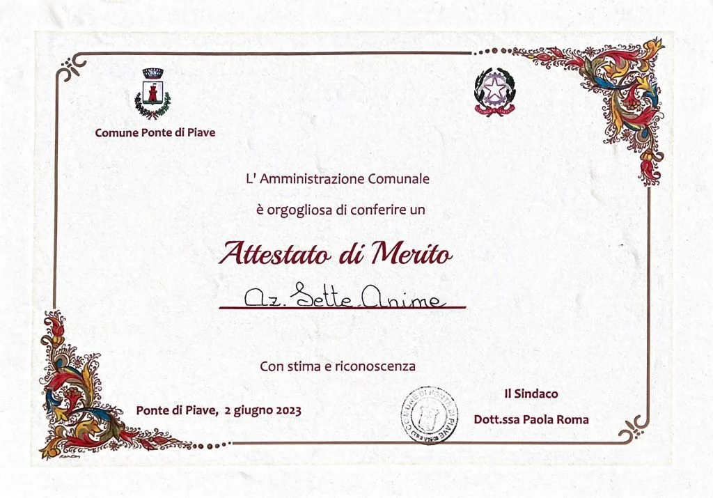 
2 Giugno 2023: Riconoscimento di Merito dal Comune di Ponte di Piave  