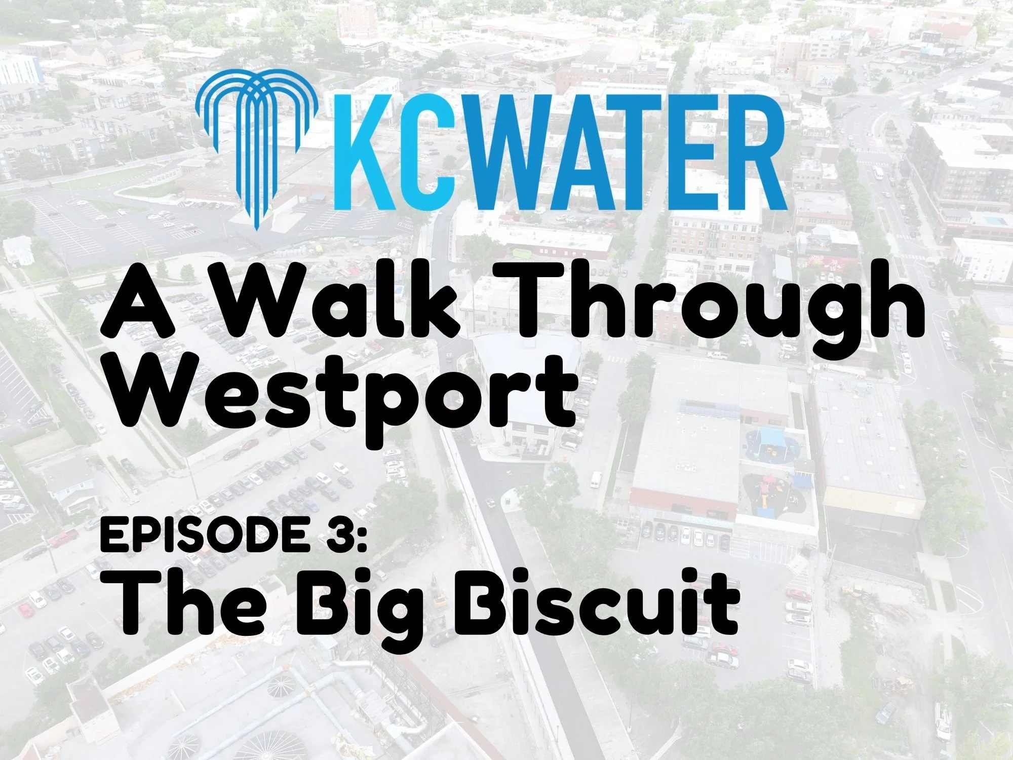 A Walk Through Westport: Big Biscuit