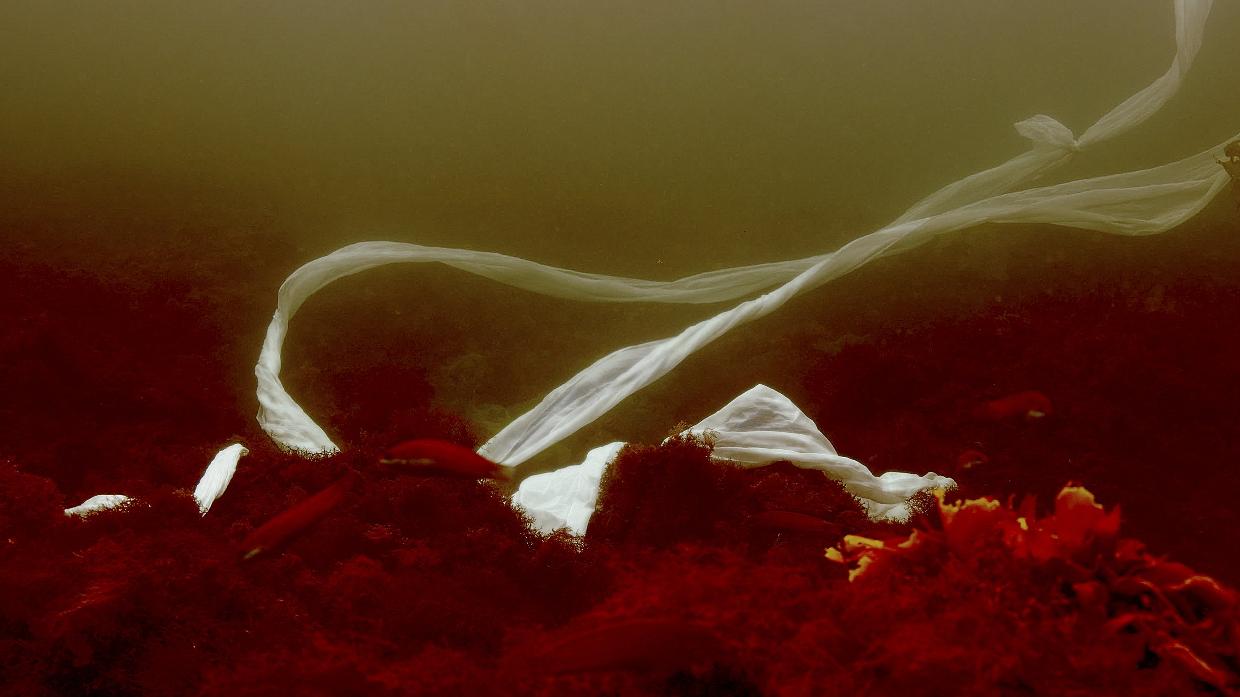 jane jin kaisen CURRENTS press 11.jpg