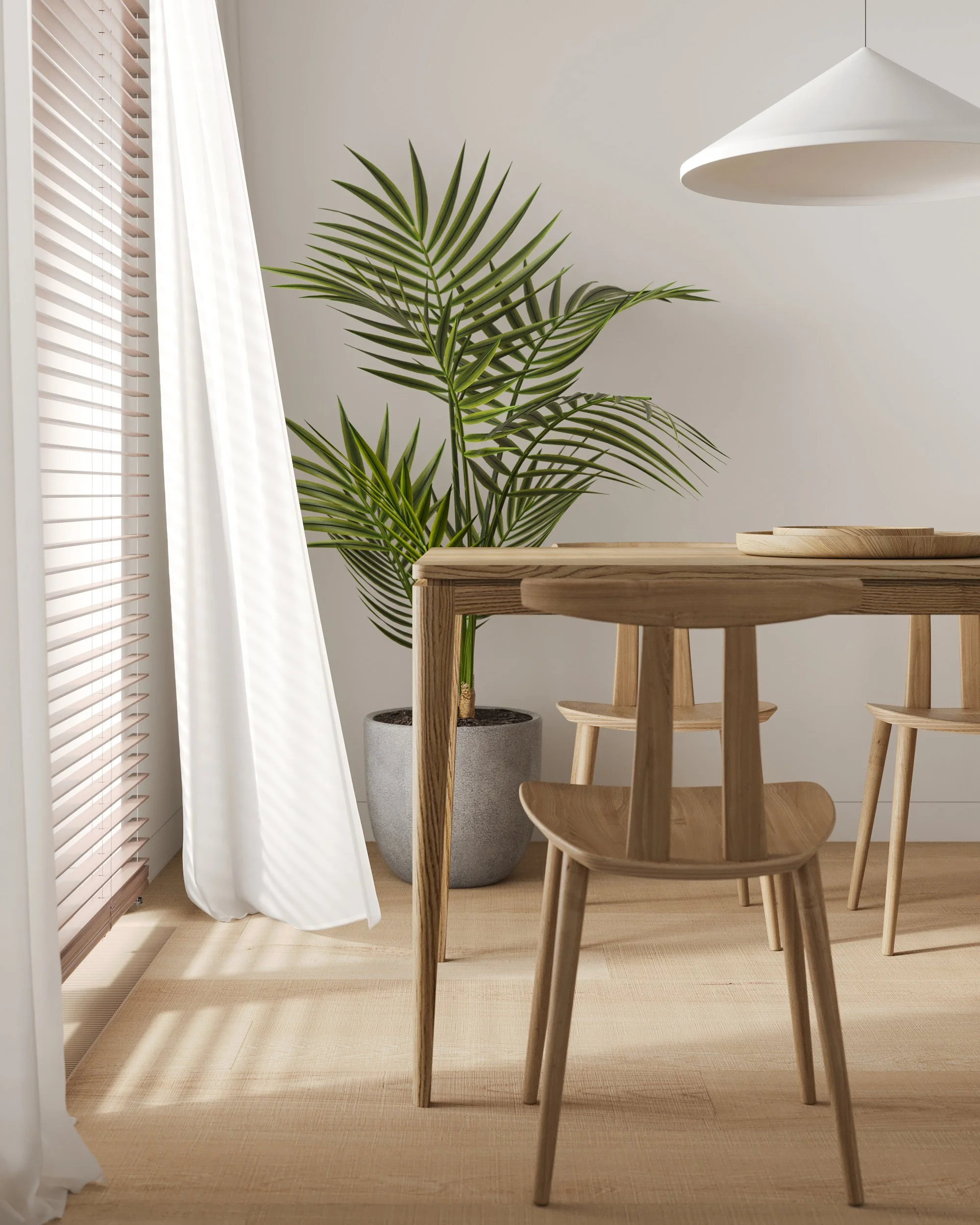 A minimalist dining area with light wood furniture, a large potted plant with broad green leaves, white curtains, and natural light.