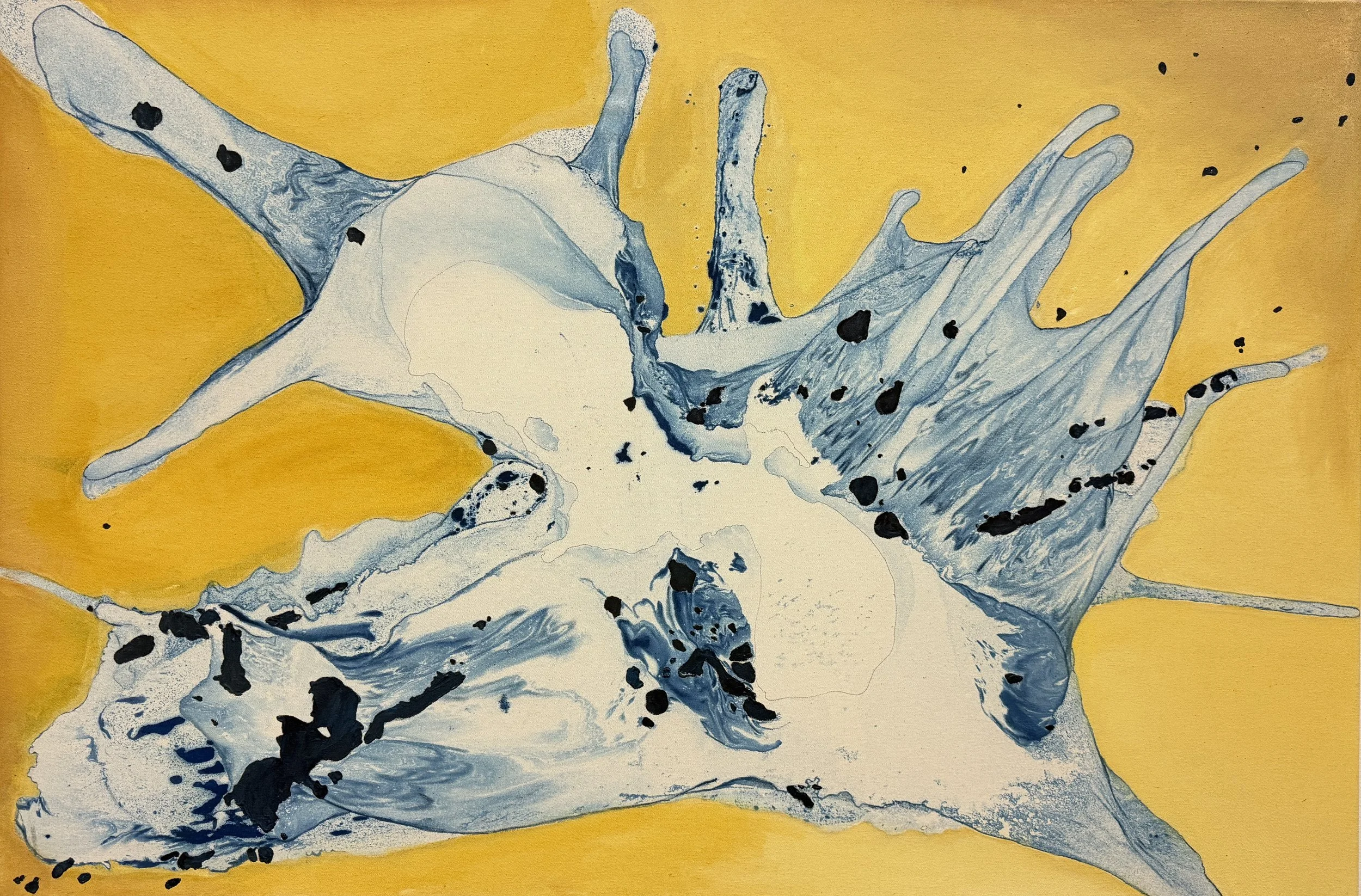 CNK1, mixed media on canvas, 70x100cm