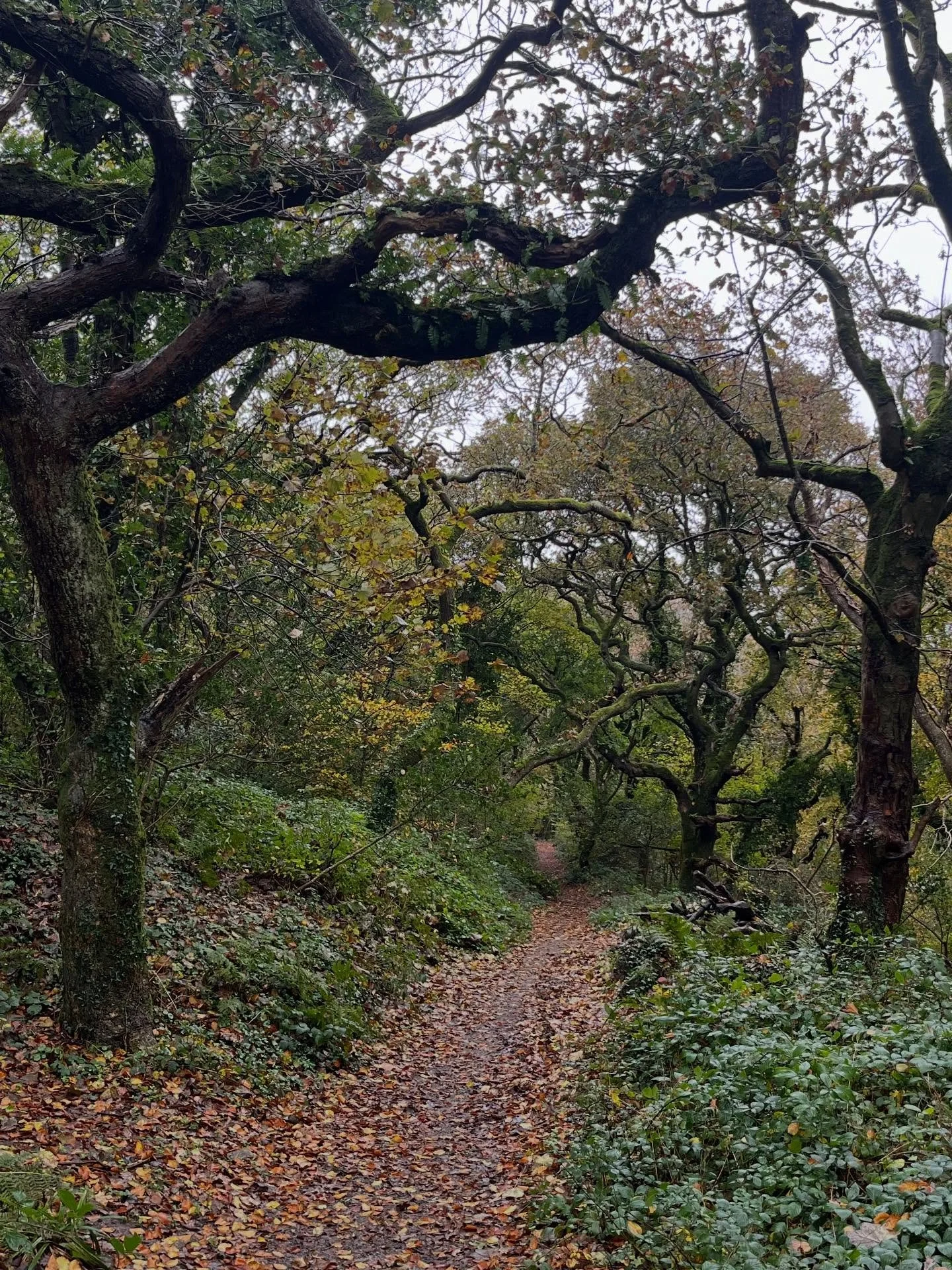 Ask yourself this |

Ten years ago, I found myself grappling with a question that quietly changed my life: &ldquo;Who have you not given yourself the chance to be?&rdquo; In other words, in what ways had I unconsciously written myself off, without ge