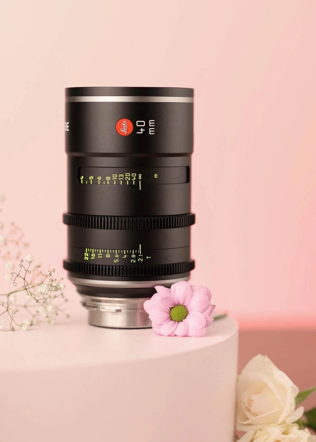 Camera lens with flowers on a pink background.