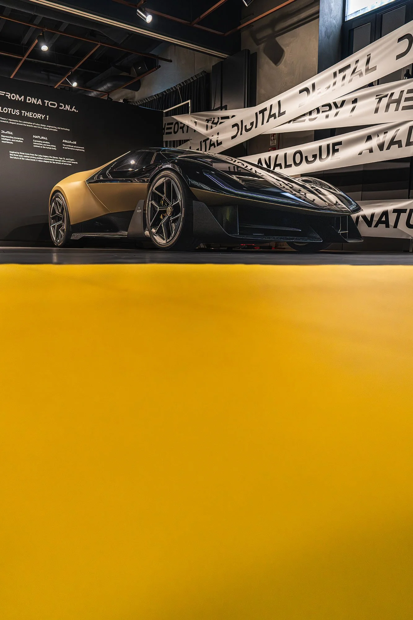 T2P_THEORY_1_ITALY_LOTUS-10.jpg