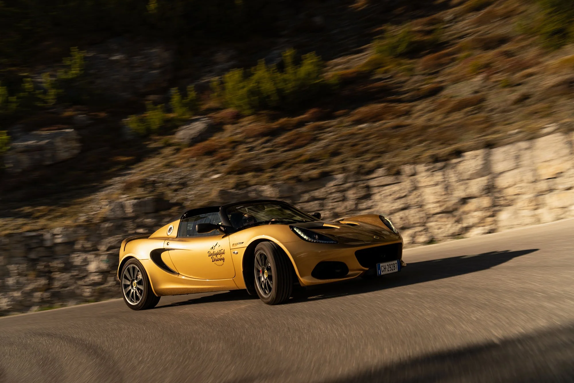 T2P_ELISA_ITALY_LOTUS-21.jpg