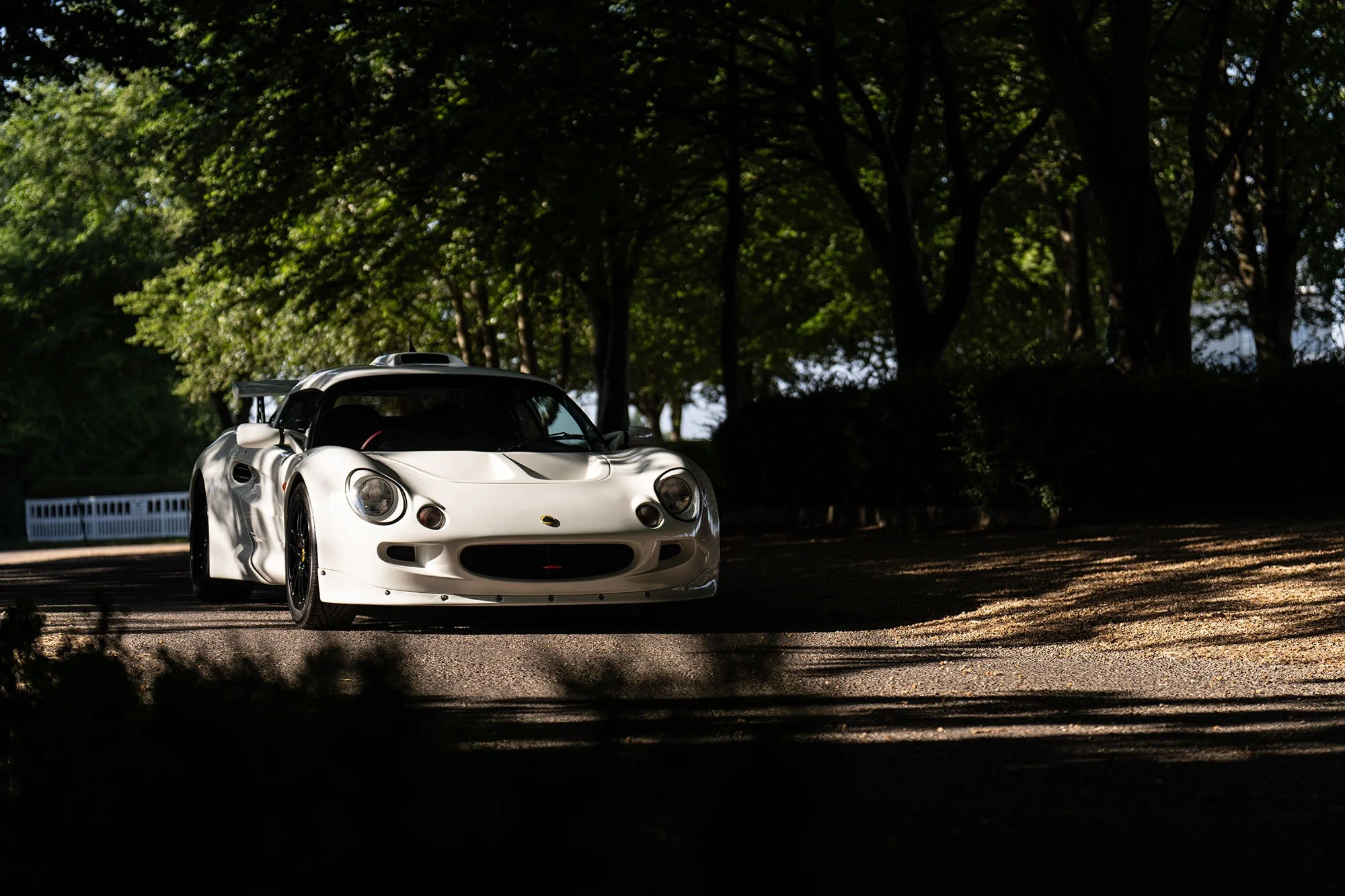 T2P_WHITE_EXIGE-3.jpg